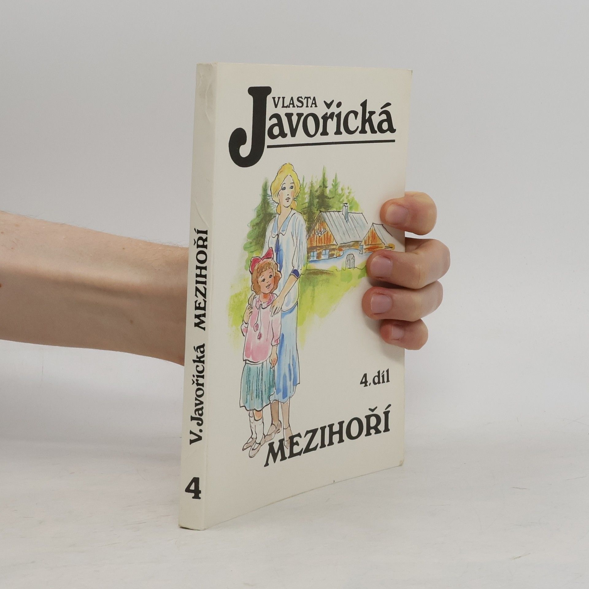 Mezihoří 4