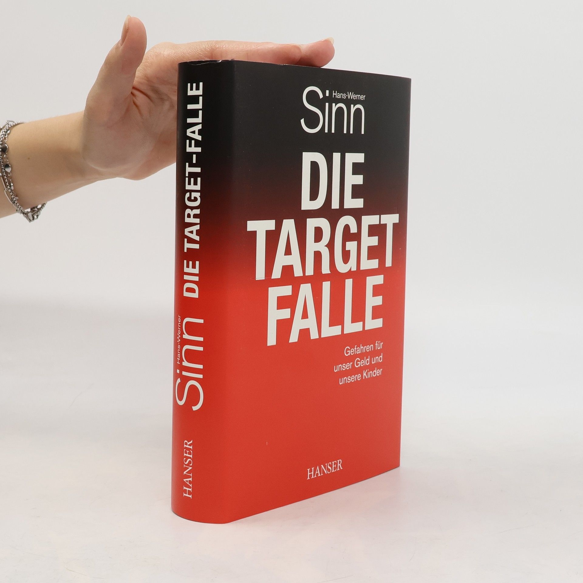 Werner Sinn Die Target Falle