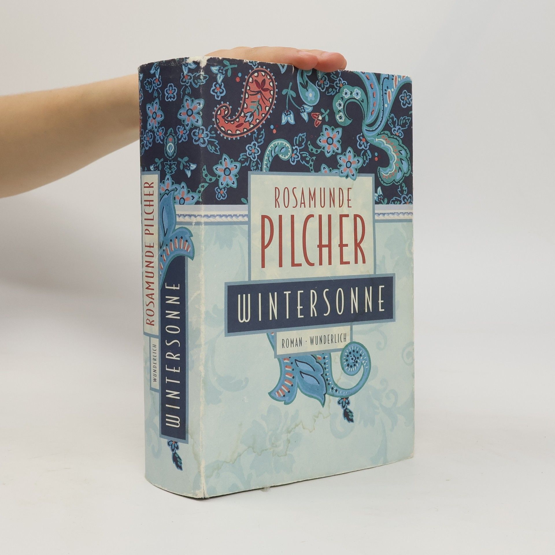 Rosamunde Pilcher Wintersonne