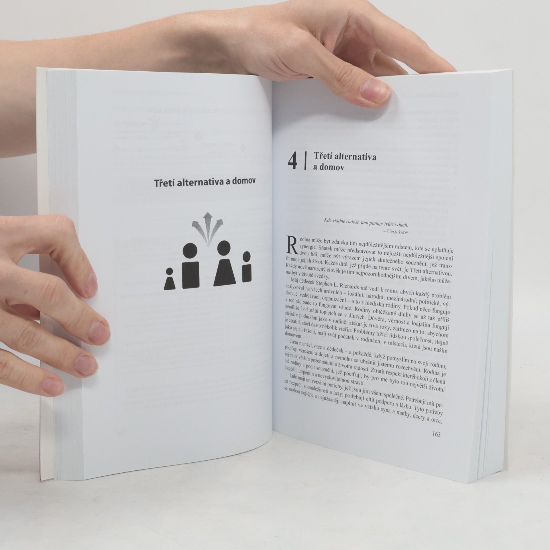Stephen Covey Třetí alternativa: Jak řešit obtížné životní problémy
