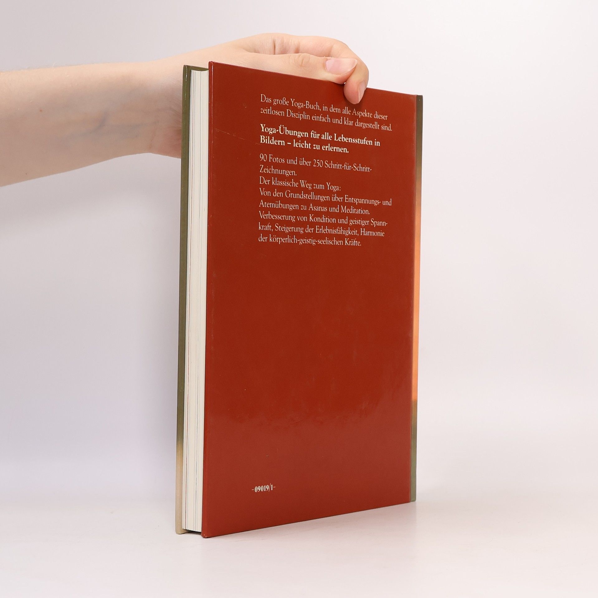 Sivanda Yoga Zentrum Yoga für alle Lebensstufen - in Bildern