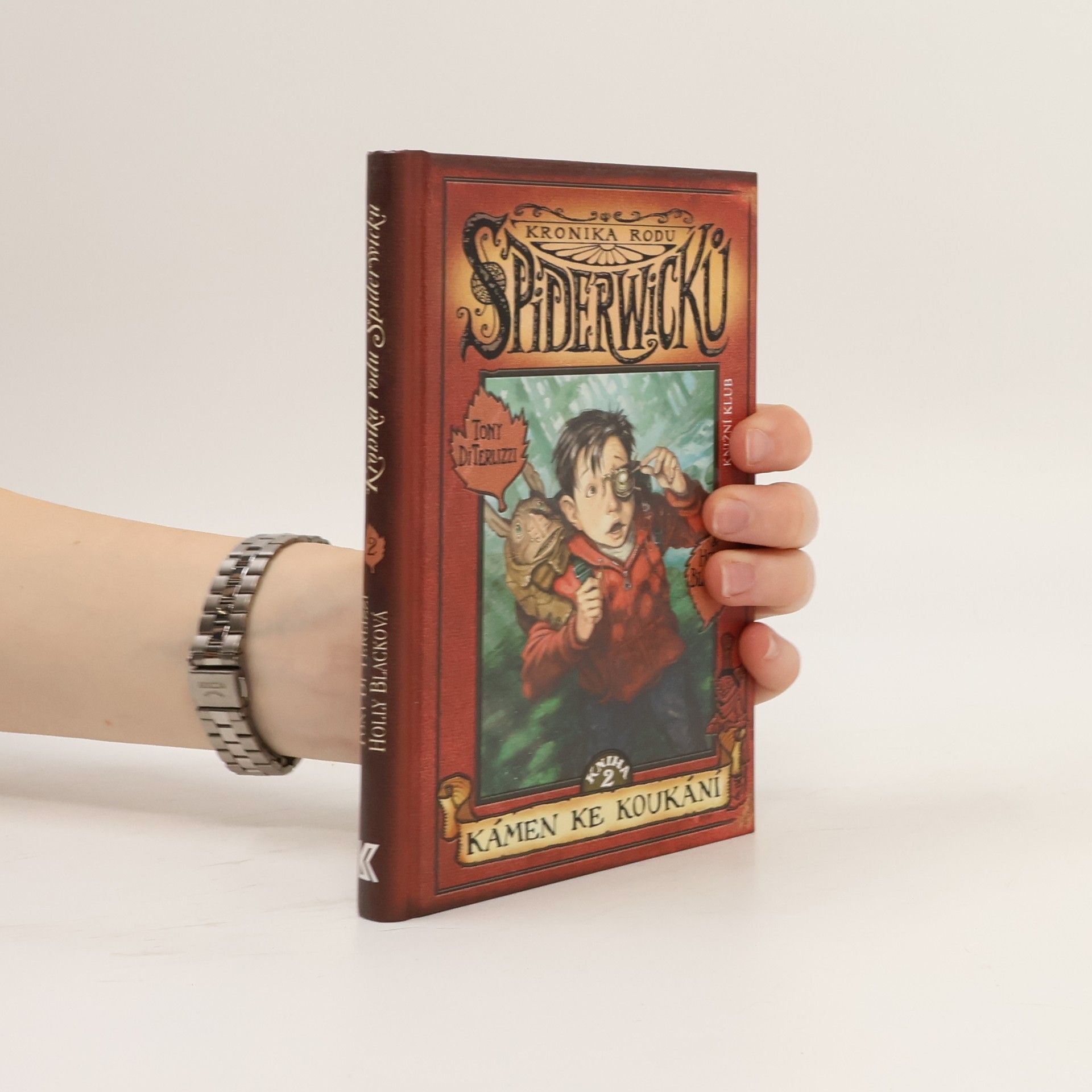 Tony DiTerlizzi Kronika rodu Spiderwicků. Kniha 2, Kámen ke koukání