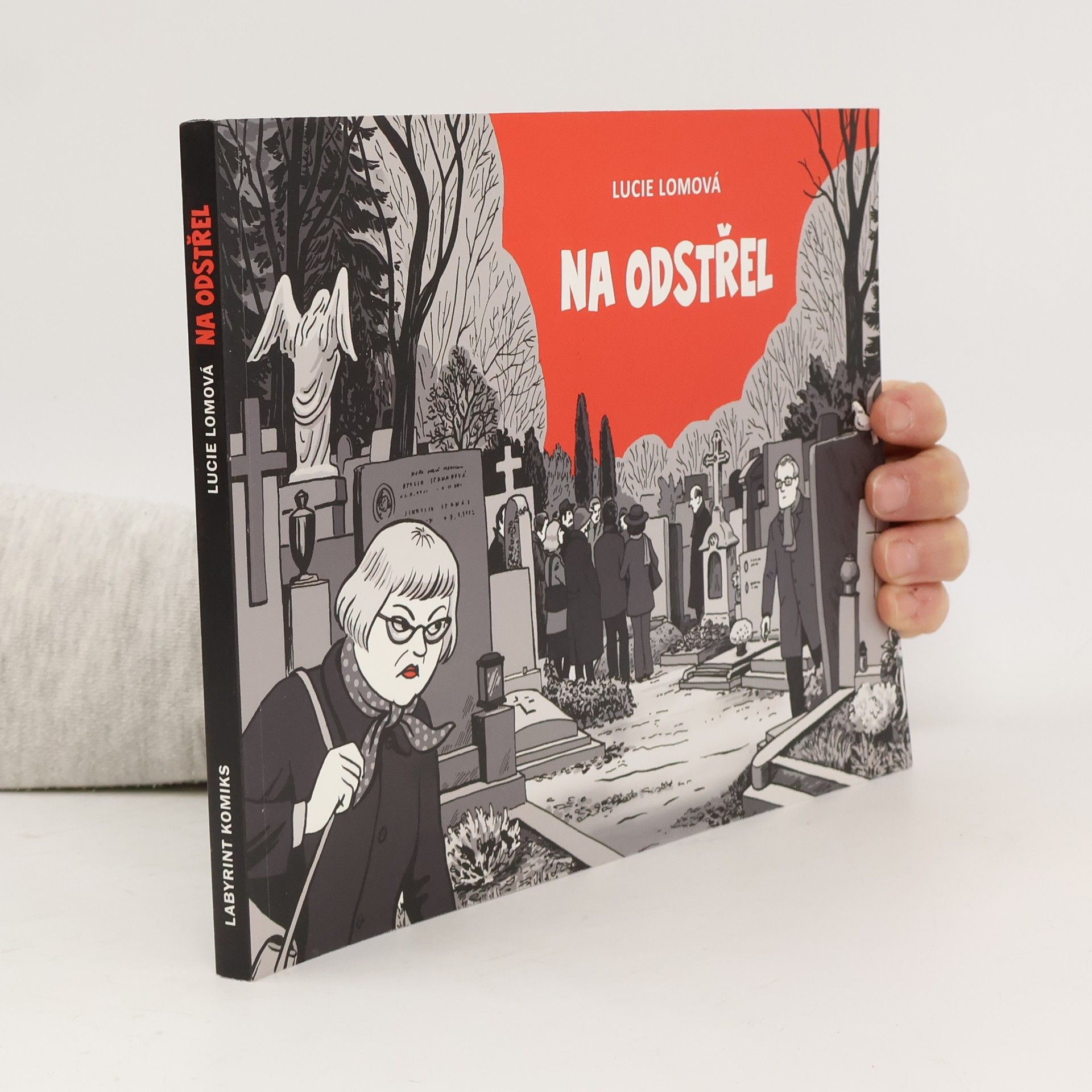 Lucie Lomová Na odstřel: Komiksová detektivka