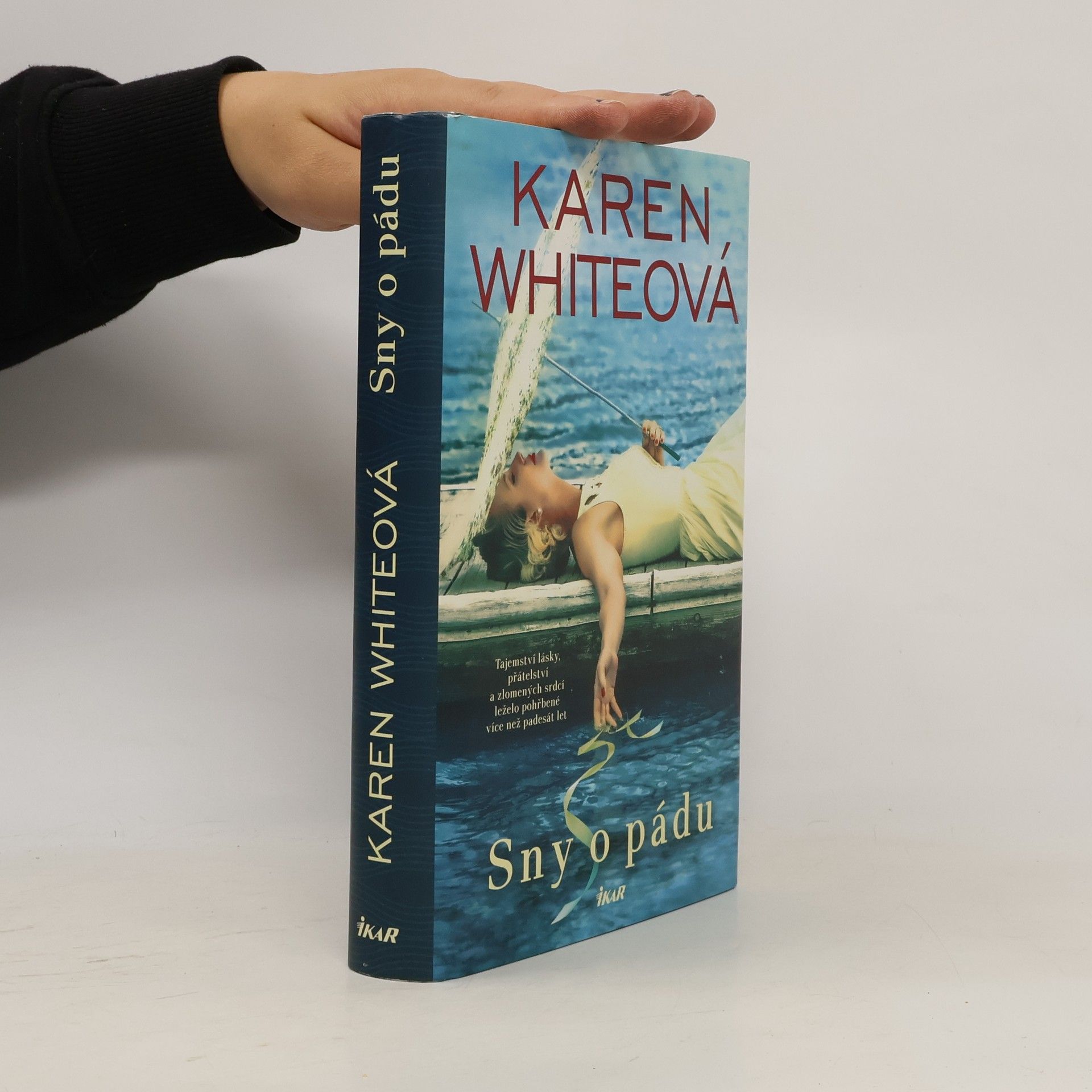 Karen Karen S. White Sny o pádu