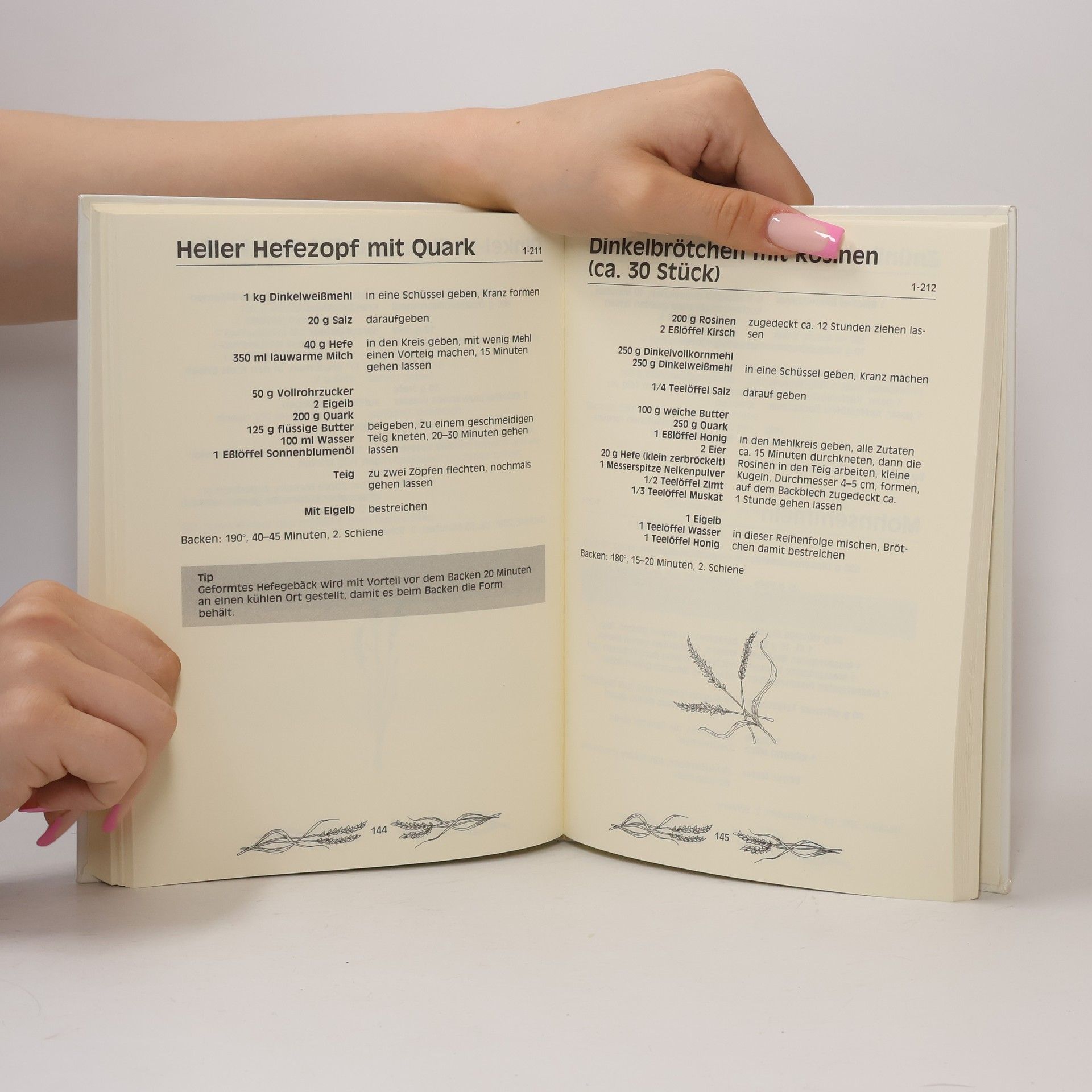 Hildegarda z Bingenu (svatá) Dinkelkochbuch
