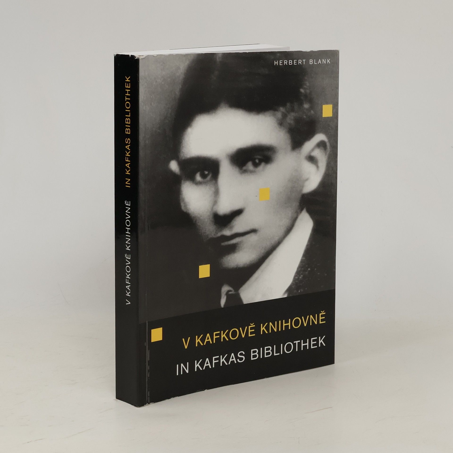 Herbert Blank V Kafkově knihovně. In Kafkas Bibliothek