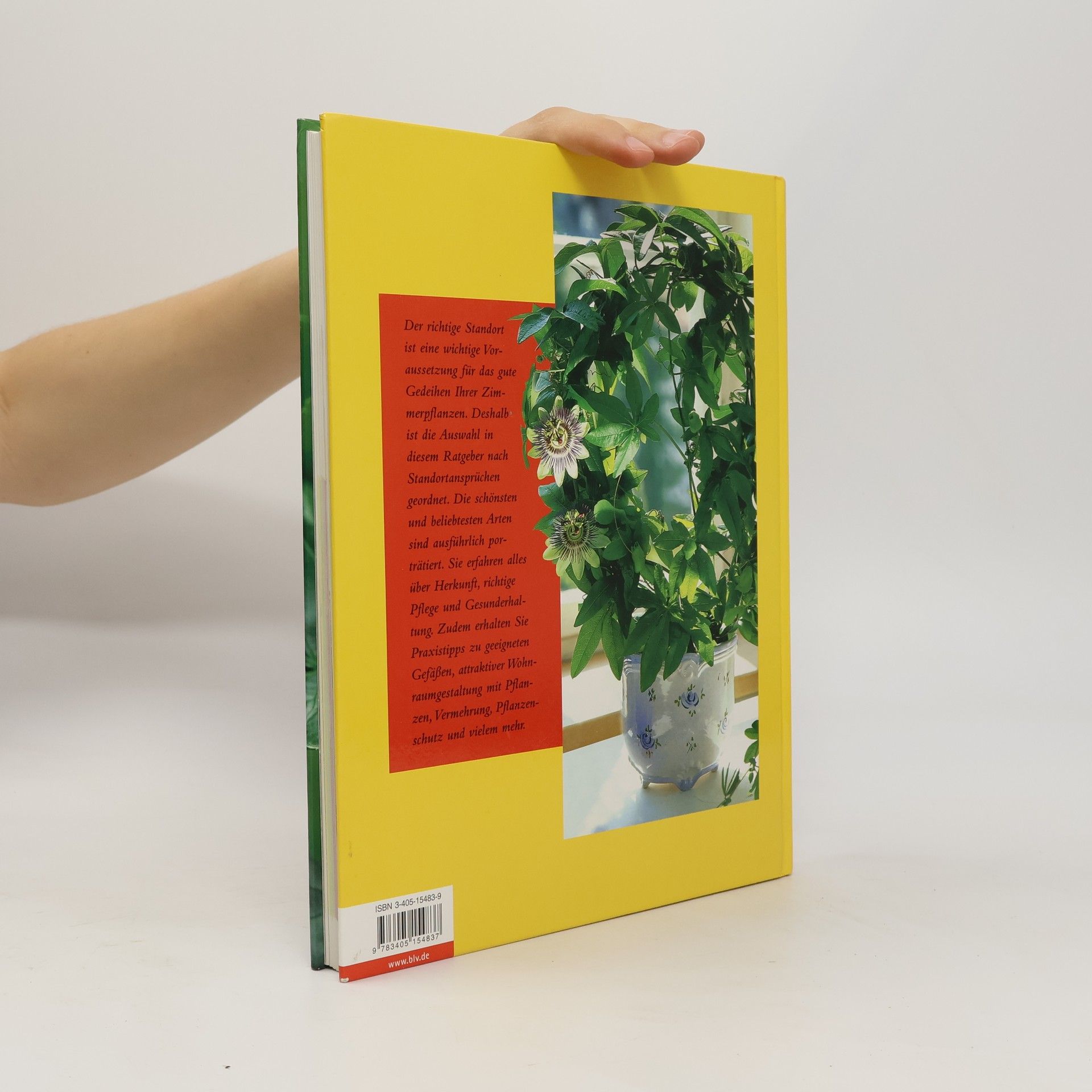 Herta Simon Das neue BLV-Zimmerpflanzen-Buch