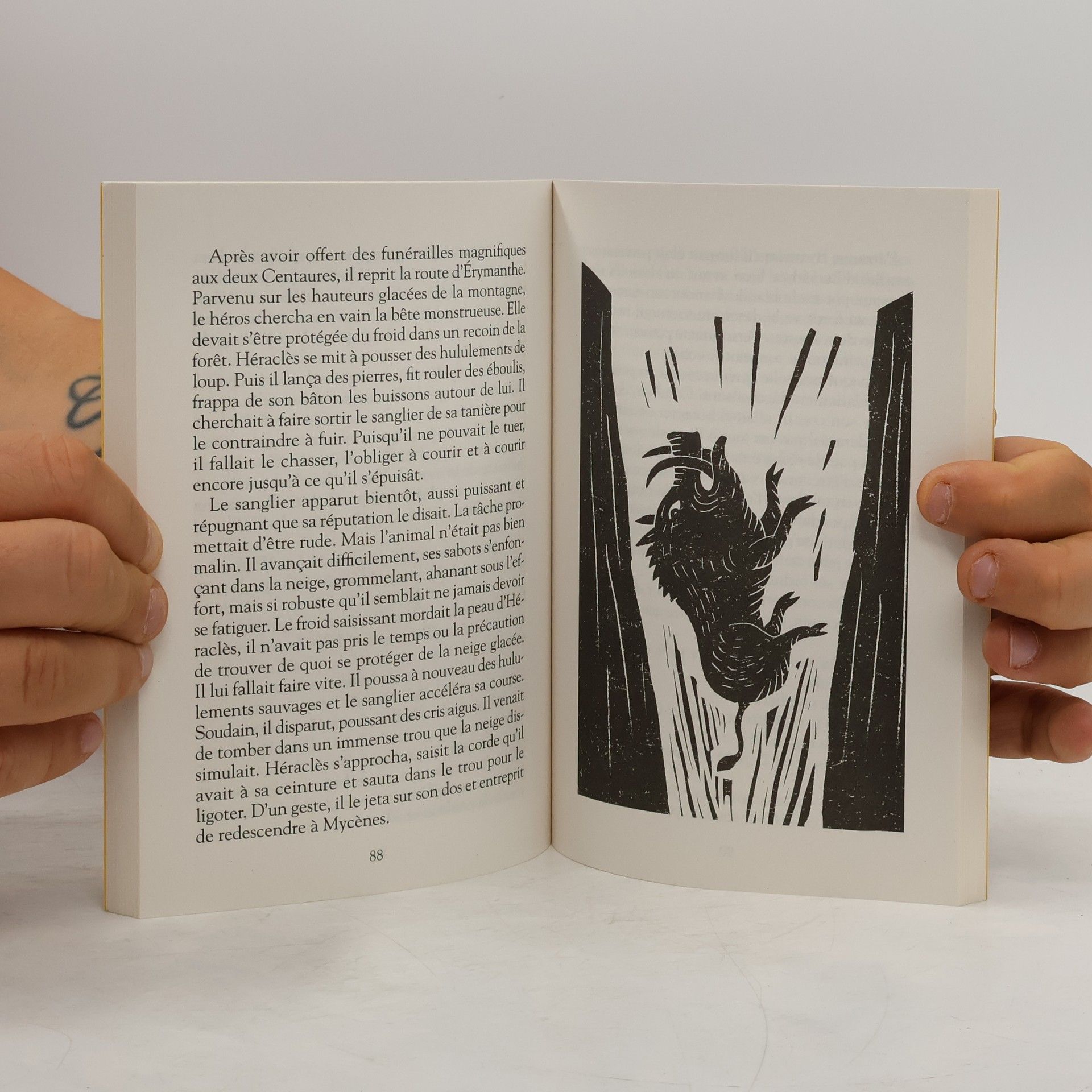 Isabelle Pandazopoulos Les douze travaux d'Hercule