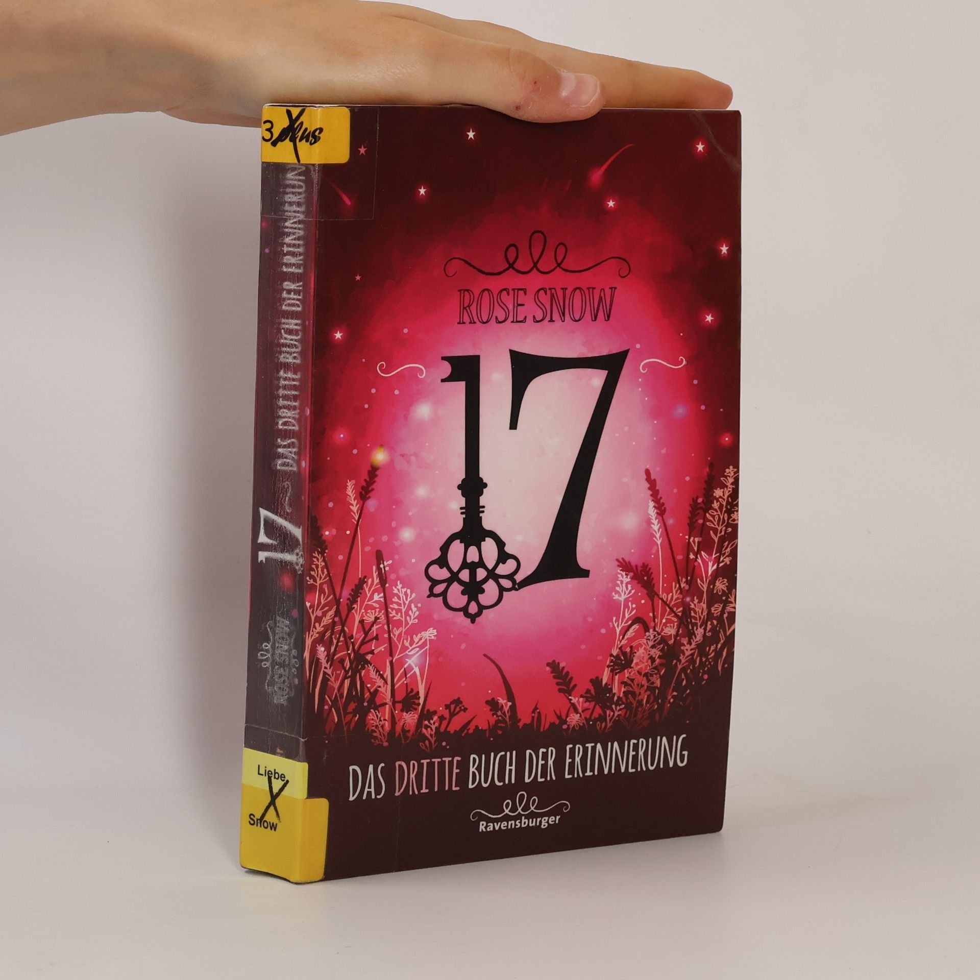 Rosie Snow 17: Das dritte Buch der Erinnerung