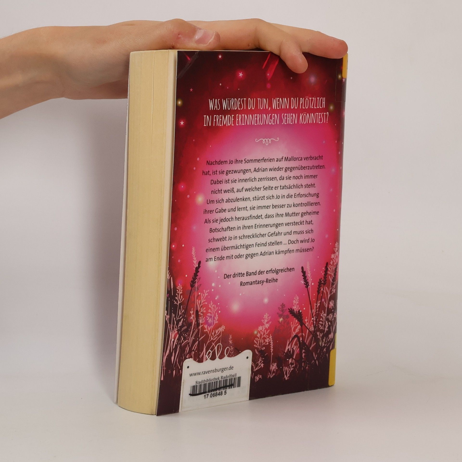 Rosie Snow 17: Das dritte Buch der Erinnerung