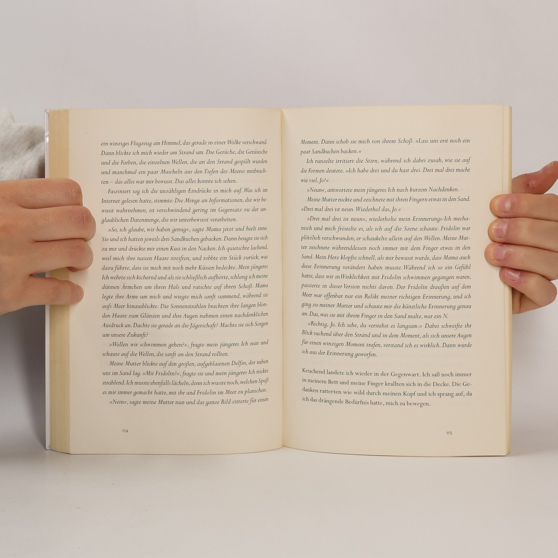 Rosie Snow 17: Das dritte Buch der Erinnerung