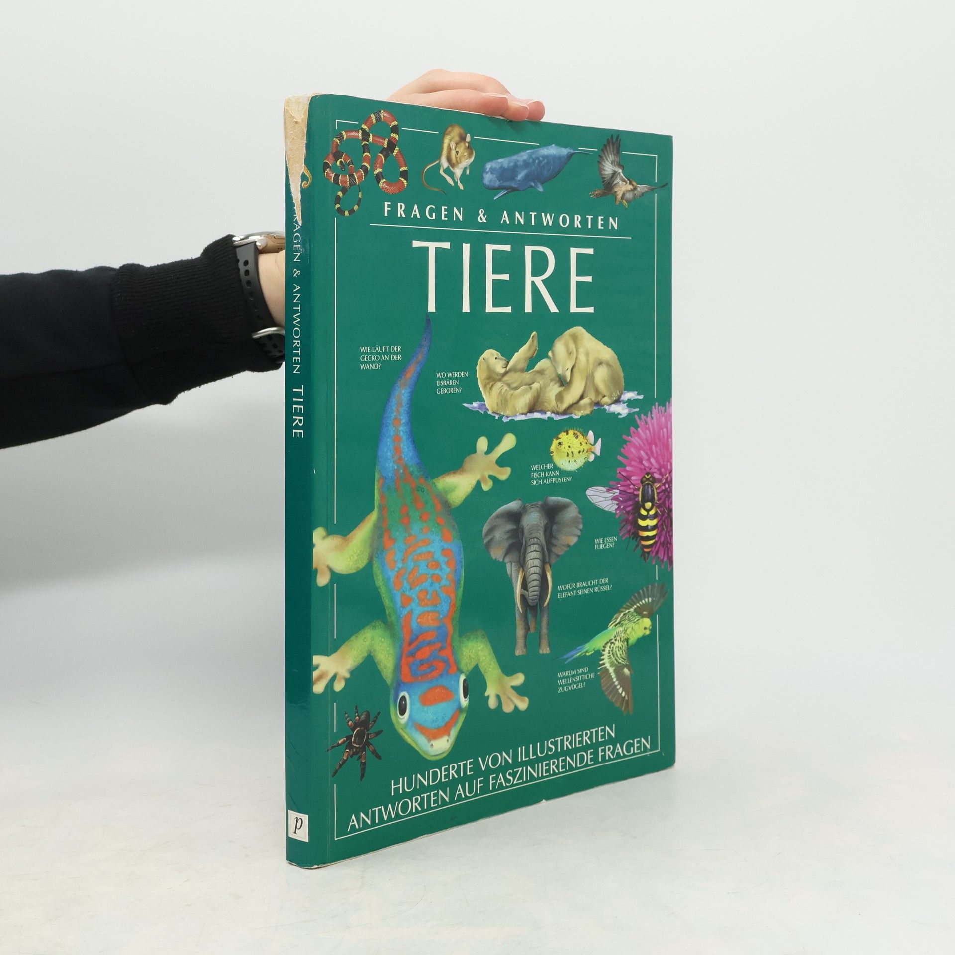 Tiere