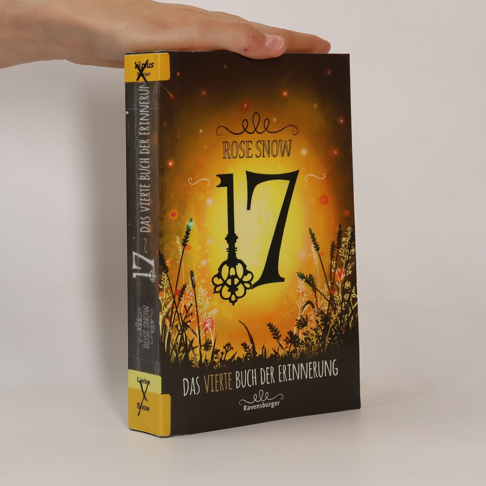 Rose Snow 17: Das vierte Buch der Erinnerung