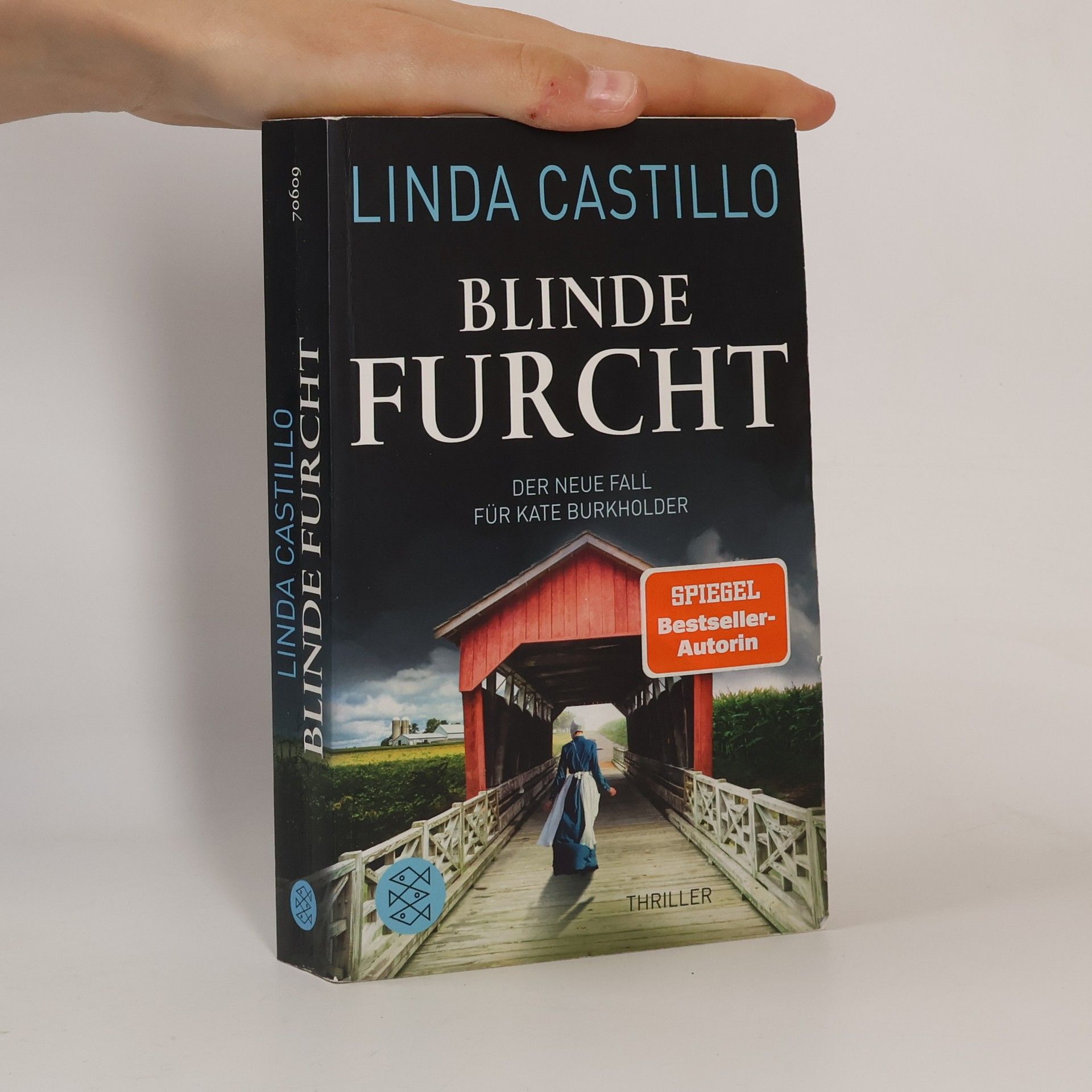 Linda Castillo Blinde Furcht