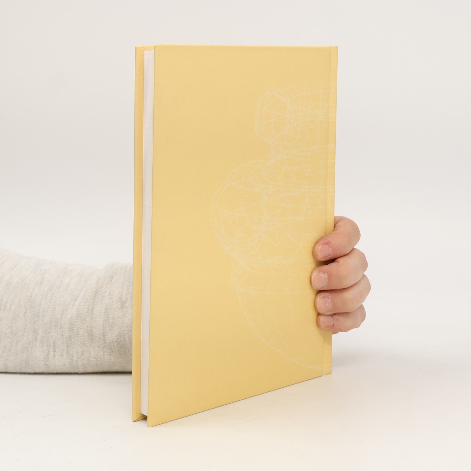 Ondřej Macek Zpytování - studie a eseje k evangelické identitě
