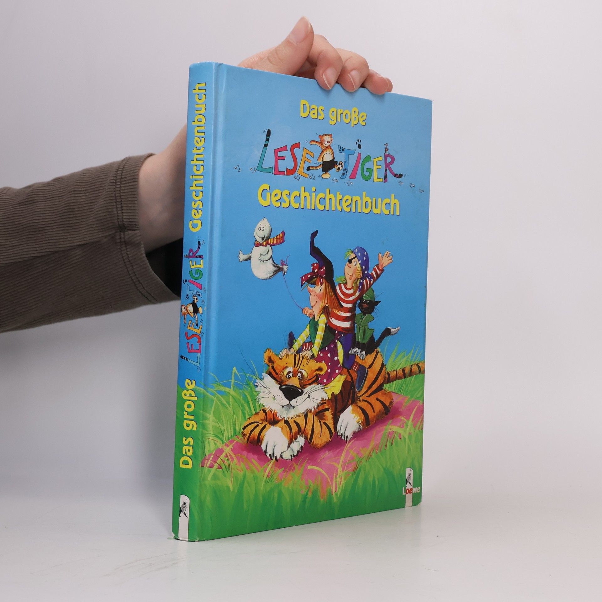 Autores varios Das große Lesetiger-Geschichtenbuch