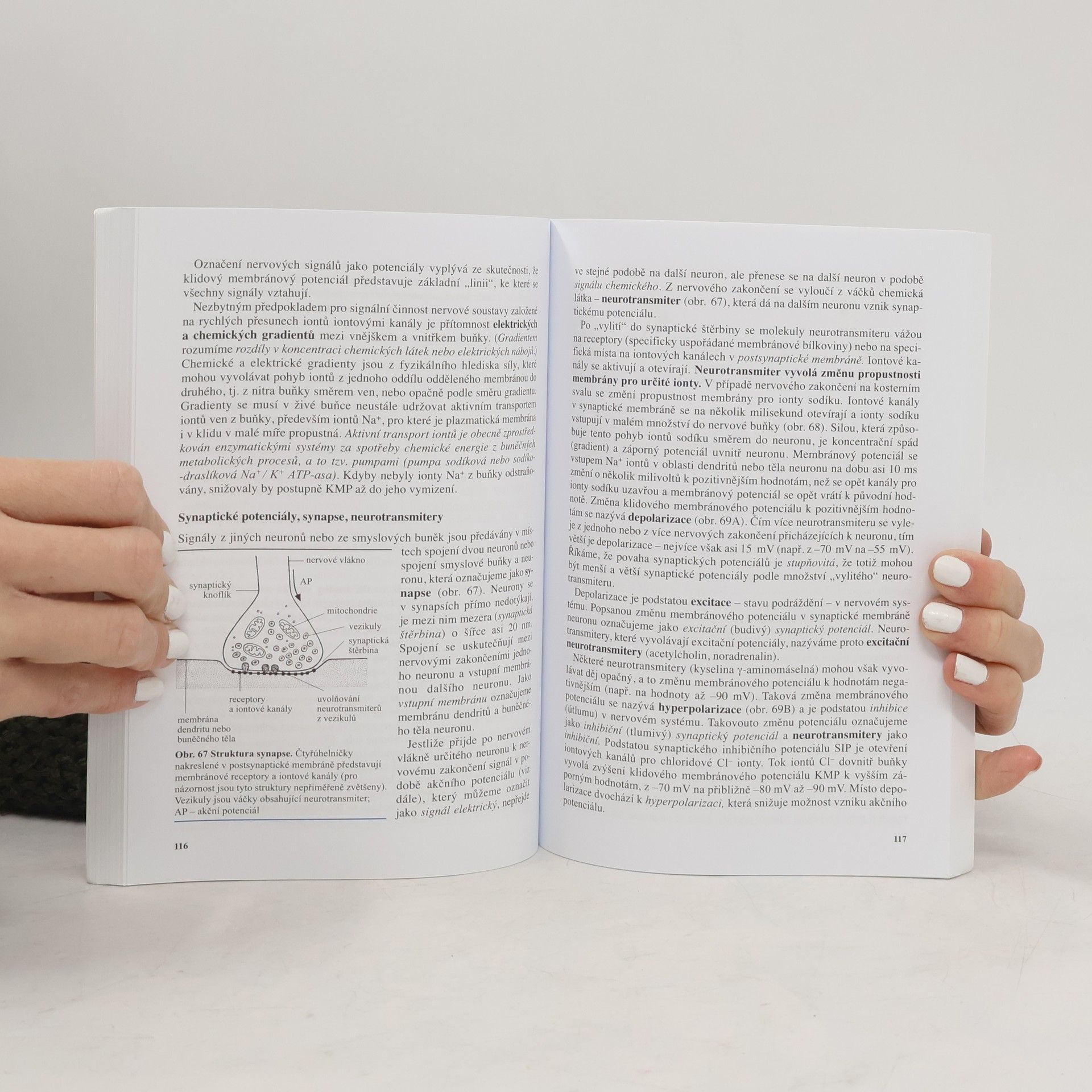 Jan Morav Biologie člověka pro gymnázia