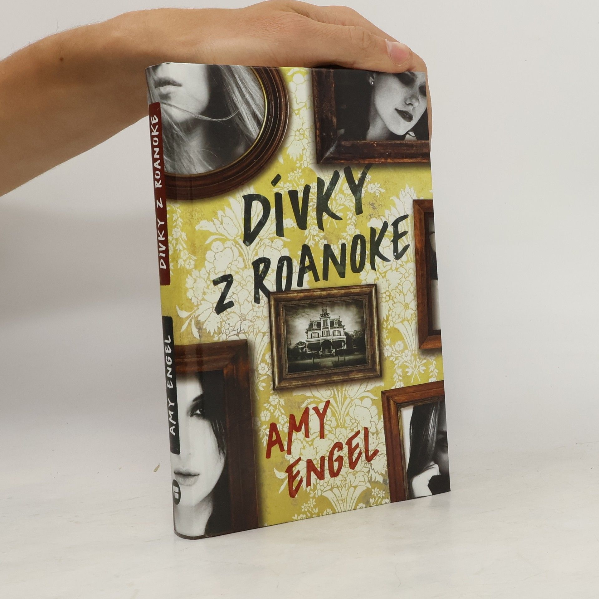 Amy Engel Dívky z Roanoke