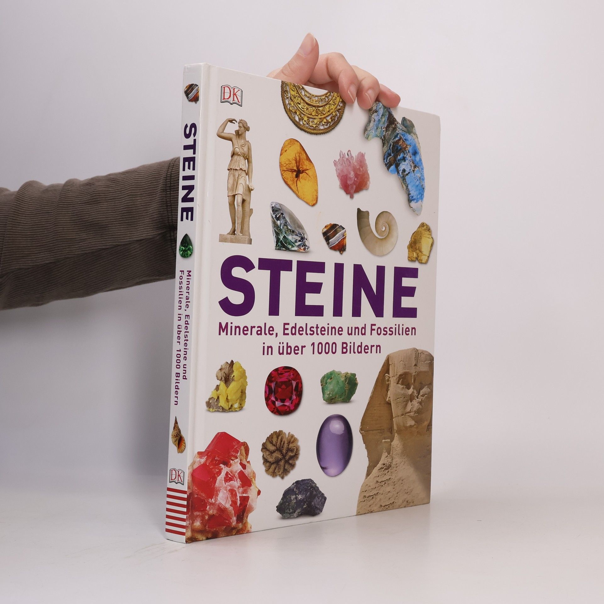 June Green Dan Steine