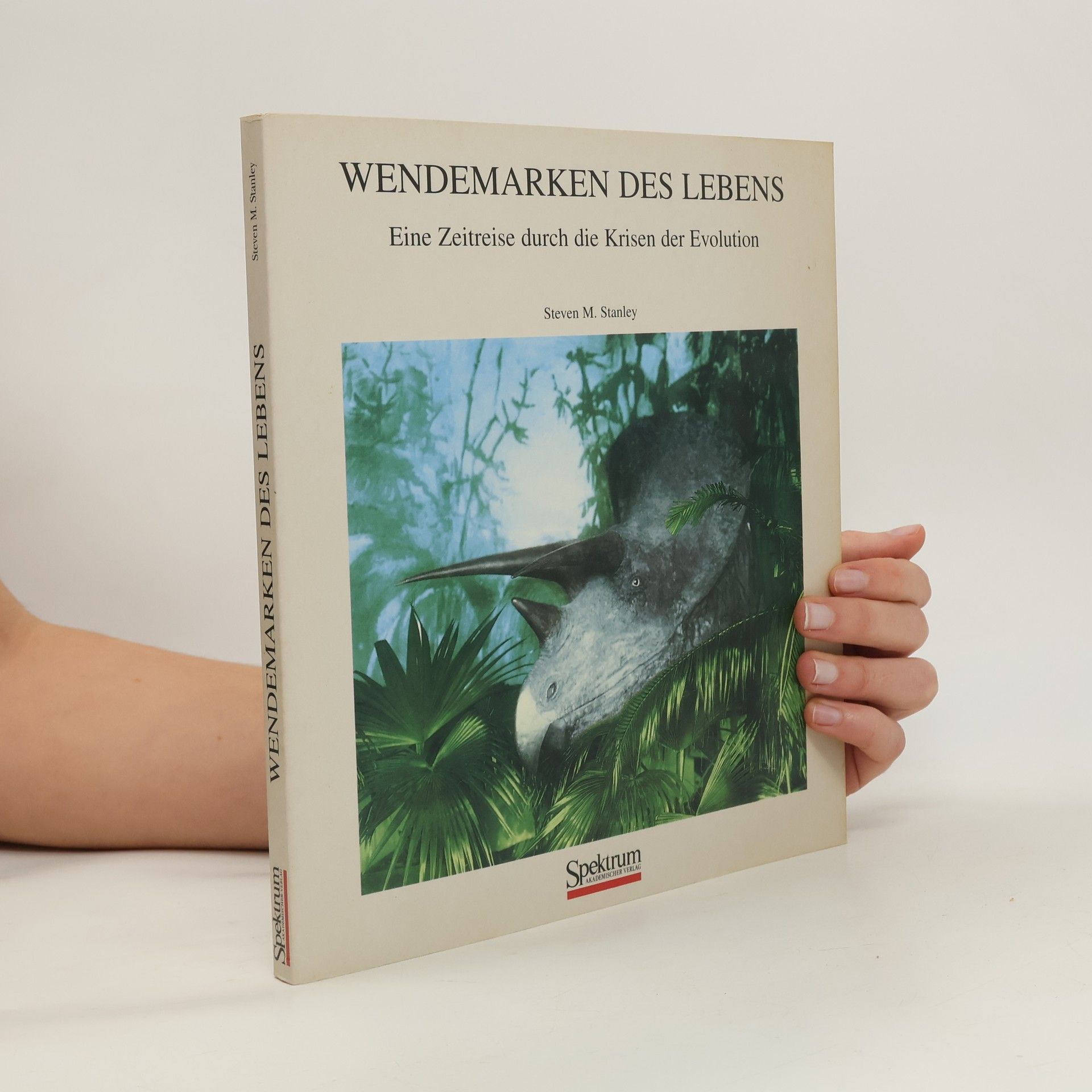 Wendemarken des Lebens