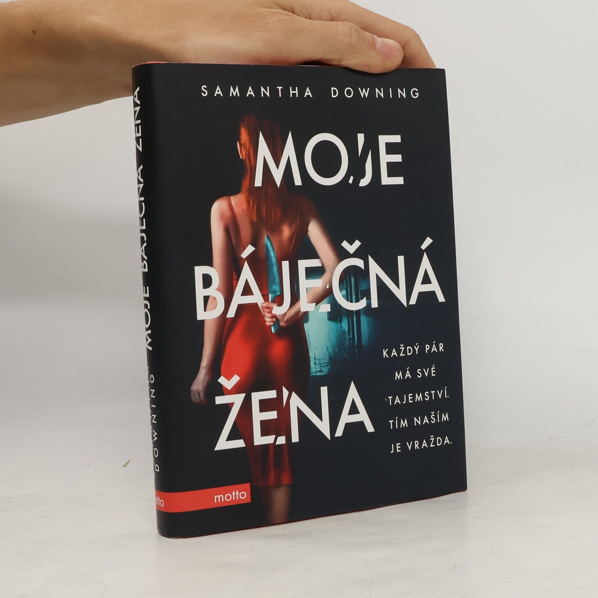 Samantha Downing Moje báječná žena