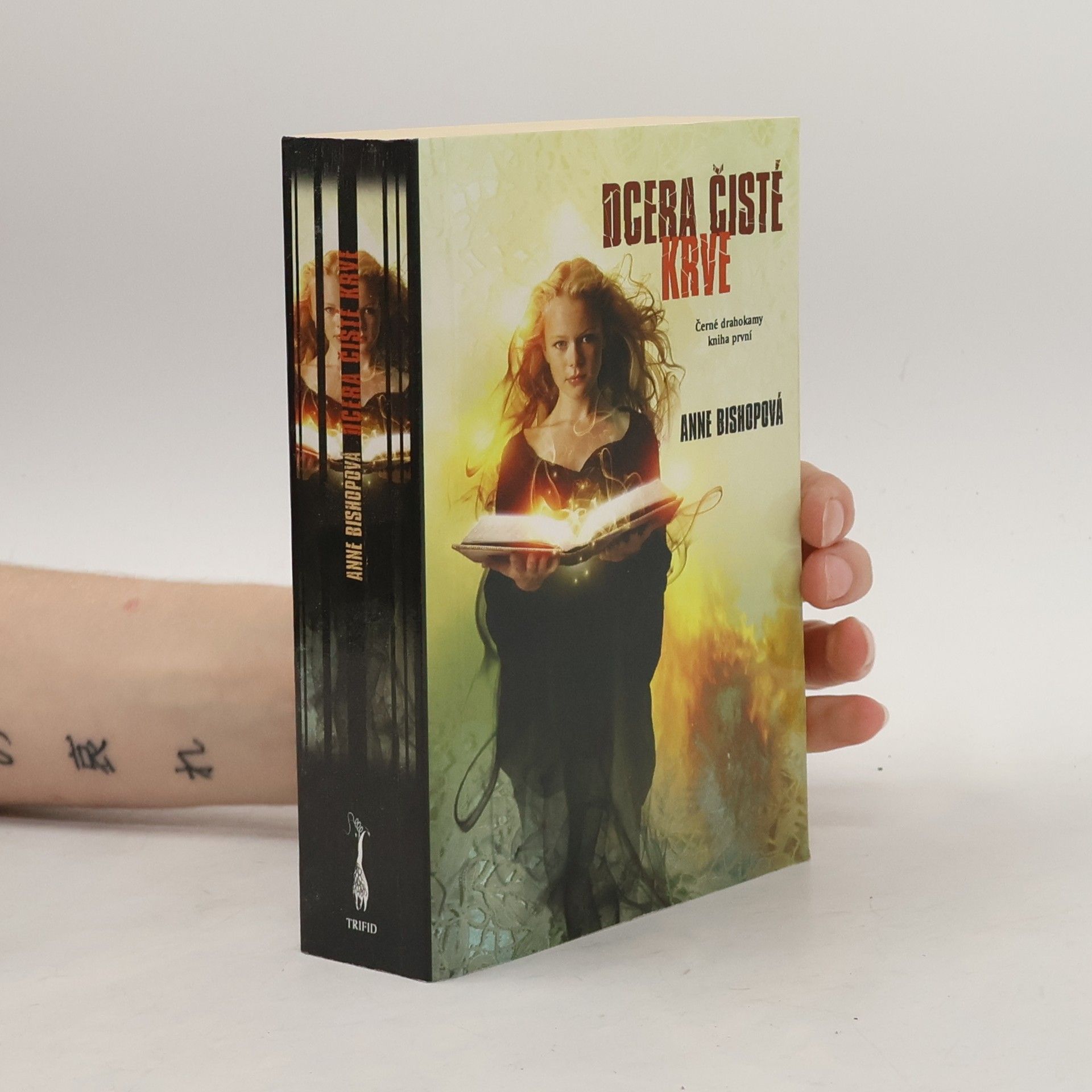 Anne Bishop Dcera čisté krve - Černé drahokam (1. díl série)