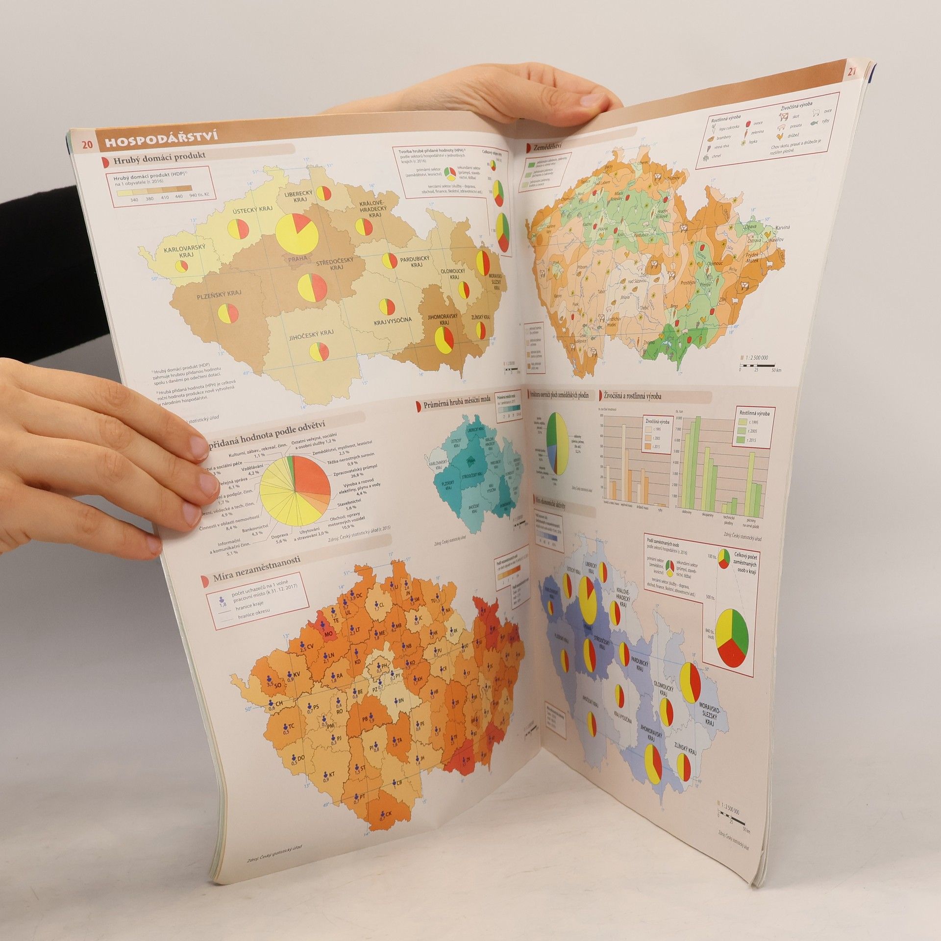 Auteurscollectief Česko: školní atlas pro základní školy a víceletá gymnázia