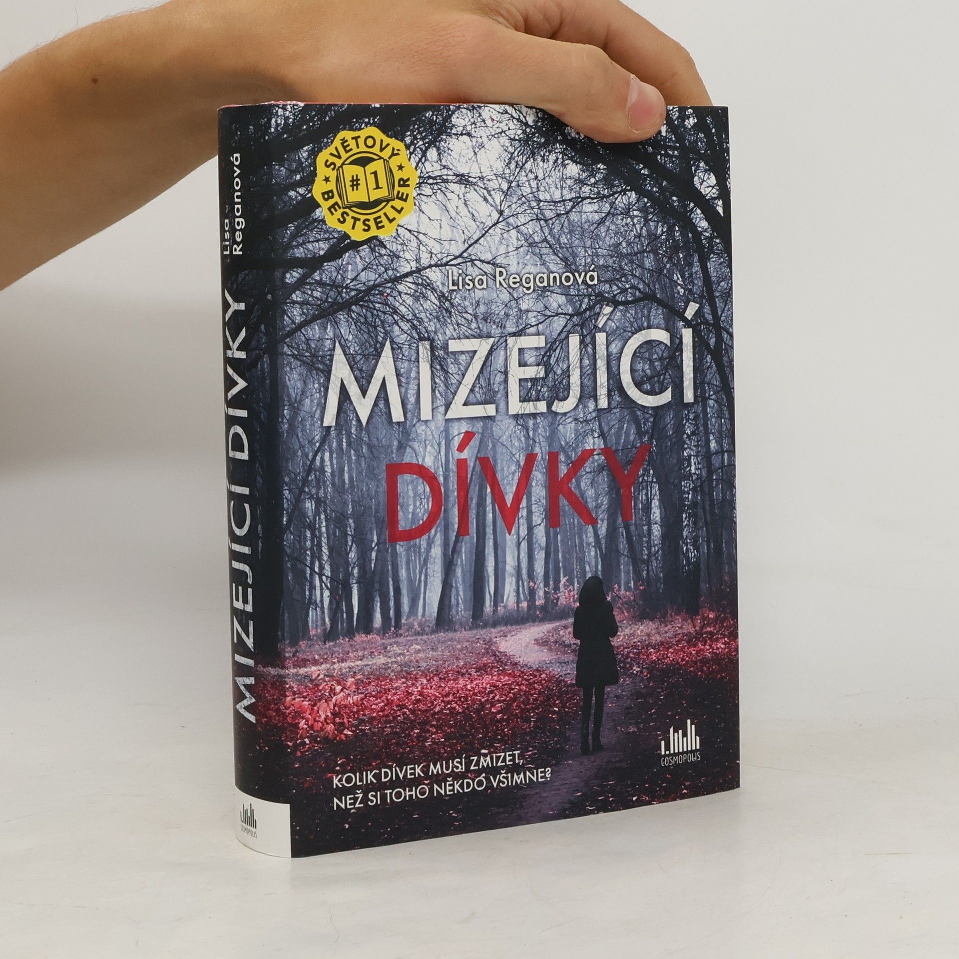 Lisa Regan Mizející dívky