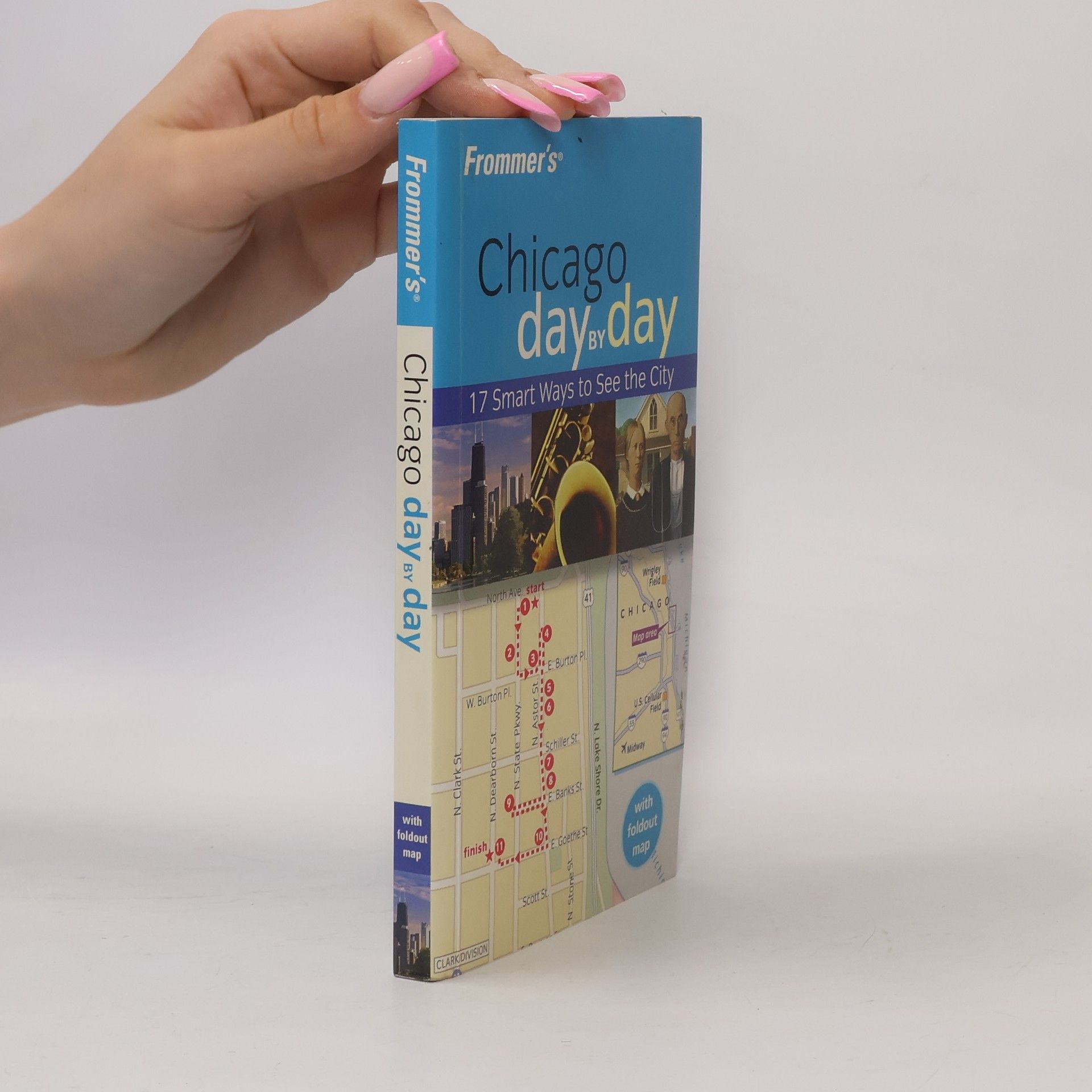 Laura Tiebert Chicago Day by Day