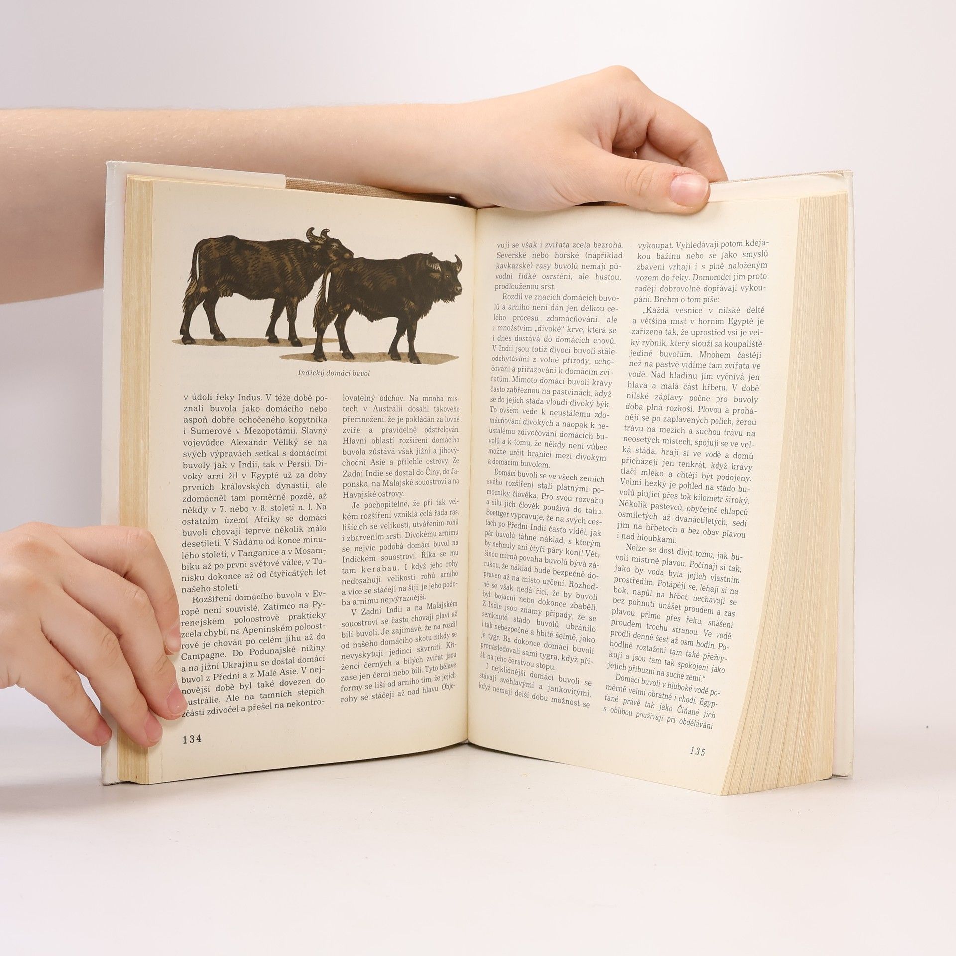 Autores varios Světem zvířat III. Domácí zvířata