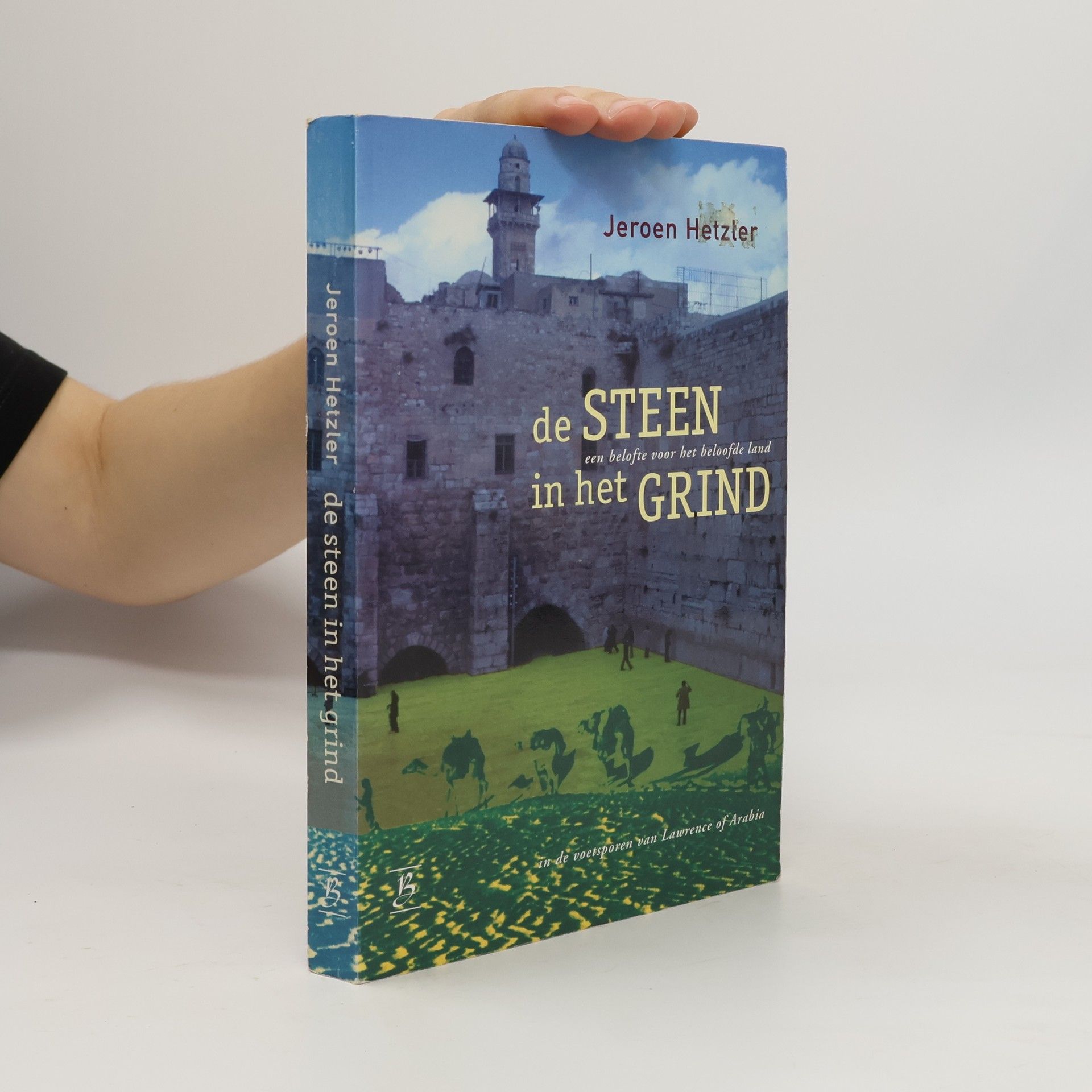 Jeroen Hetzler De steen in het grind, een belofte voor het beloofde land