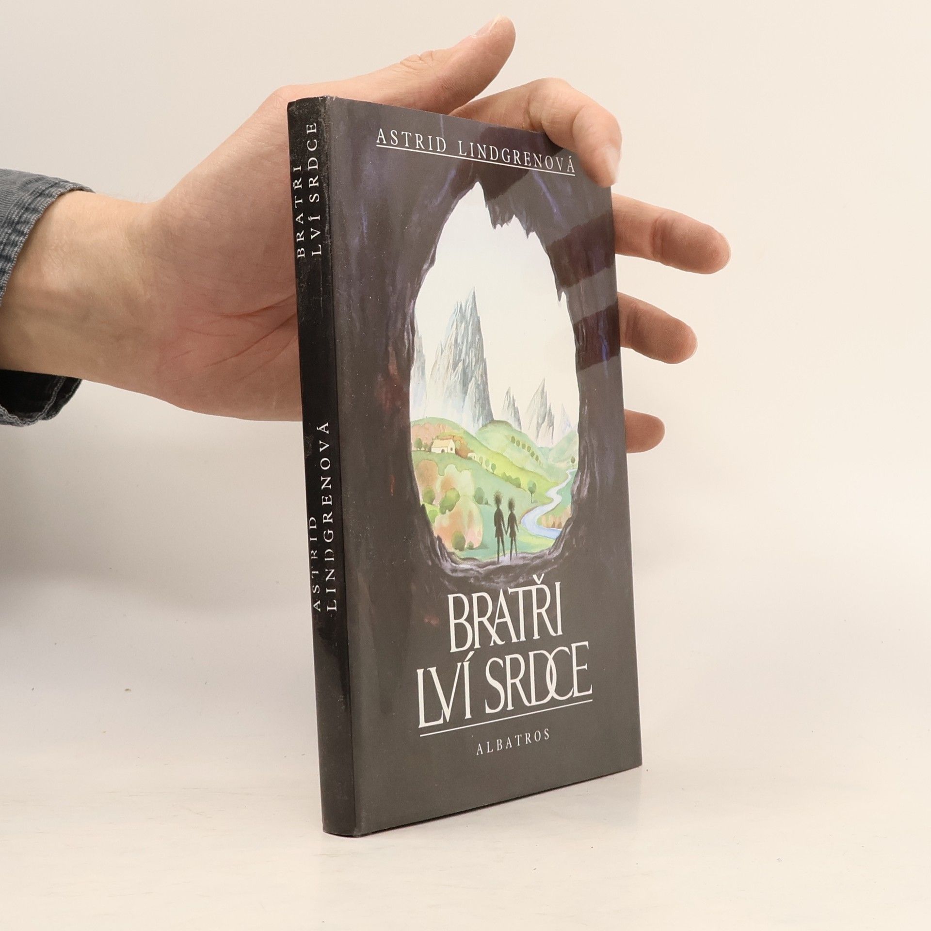 Bratři Lví srdce