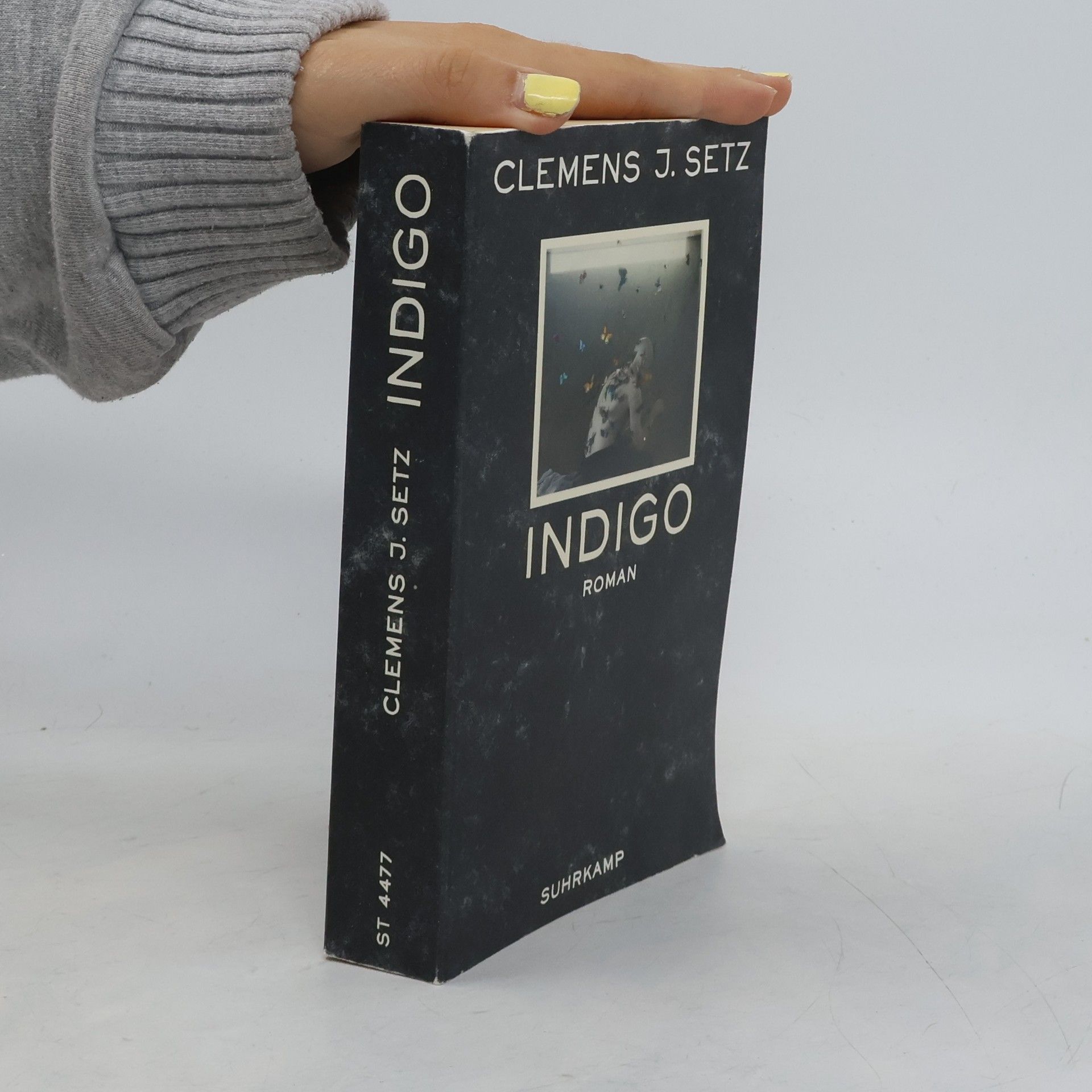 Clemens J. Setz Indigo
