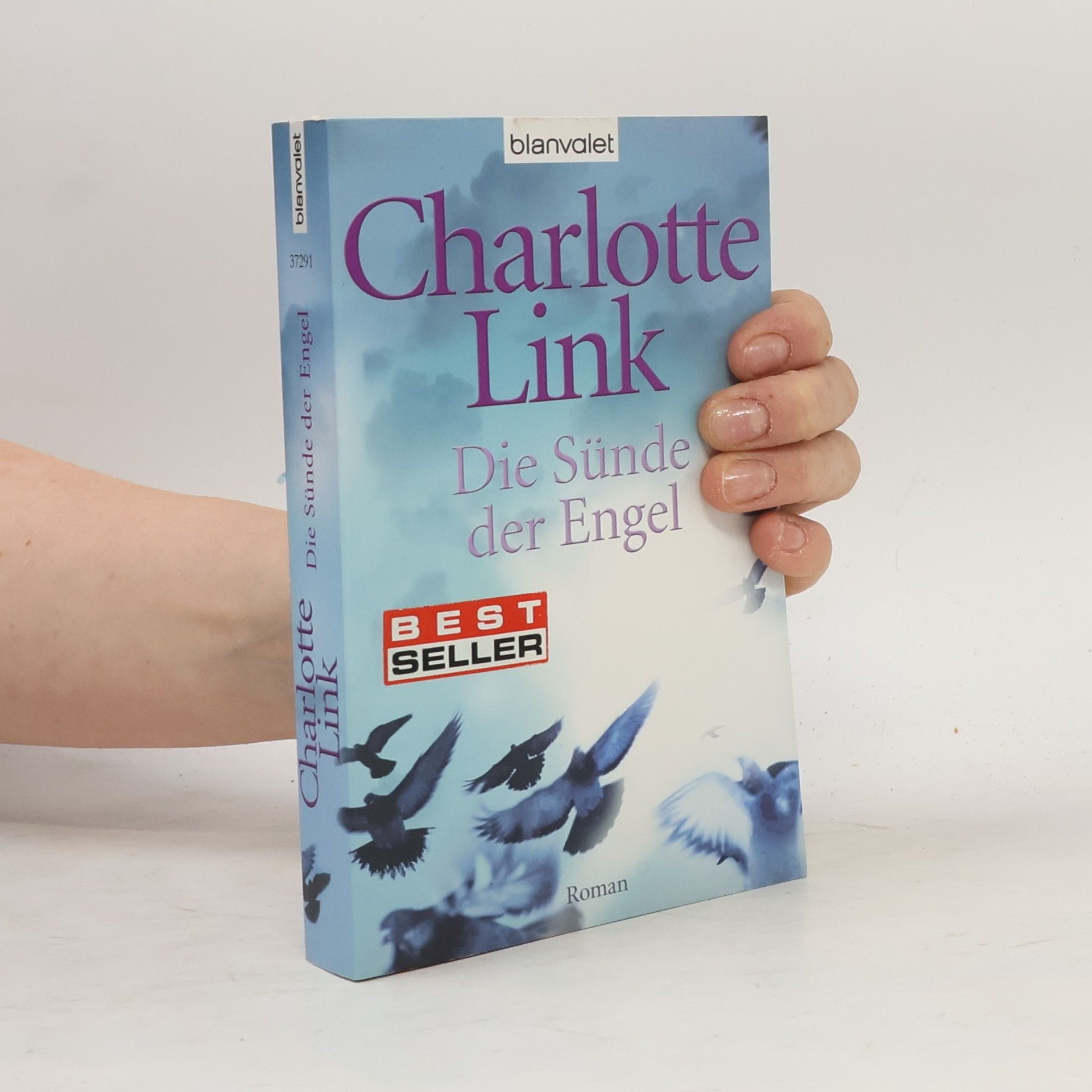 Charlotte Link Die Sünde der Engel