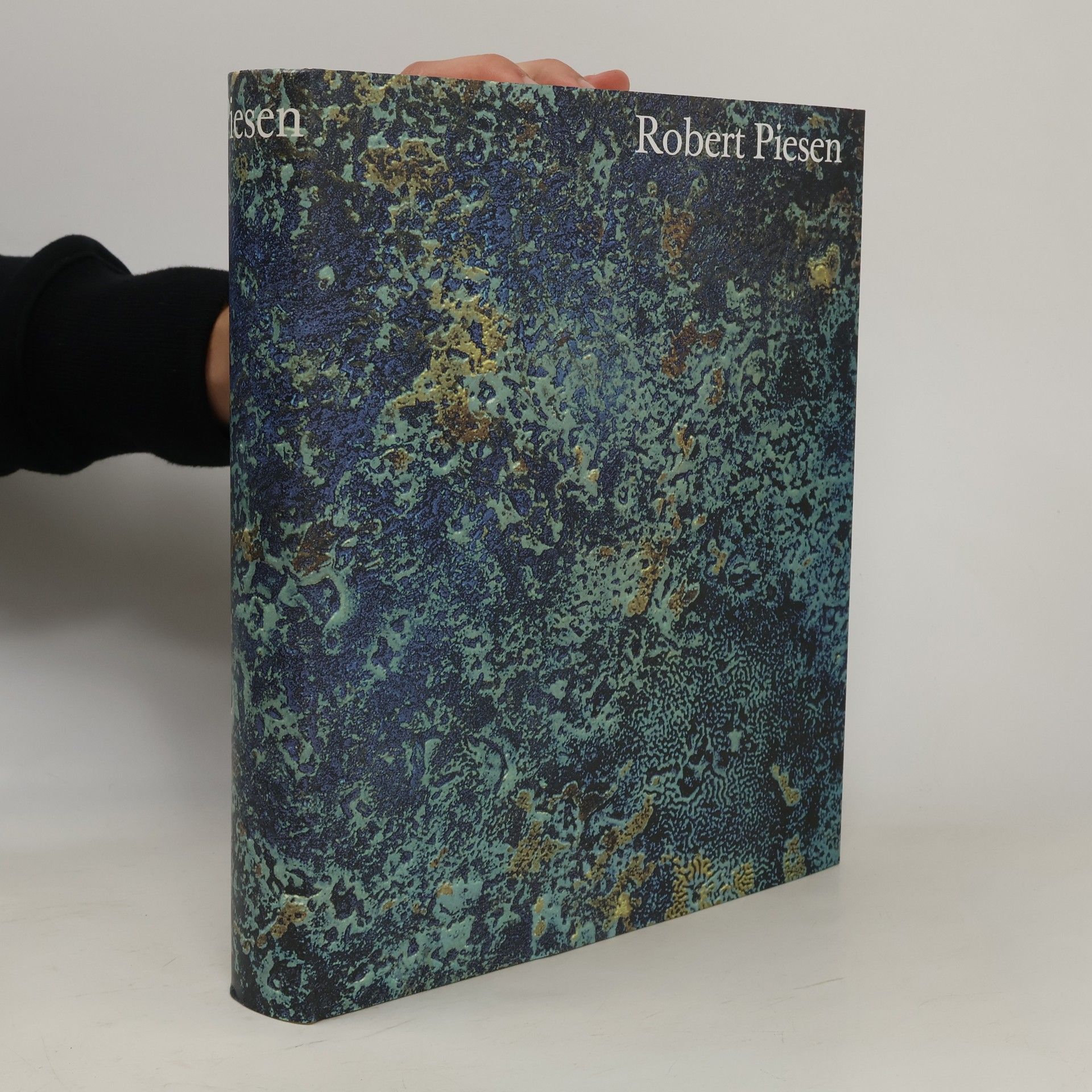 Collectif d'auteurs Robert Piesen