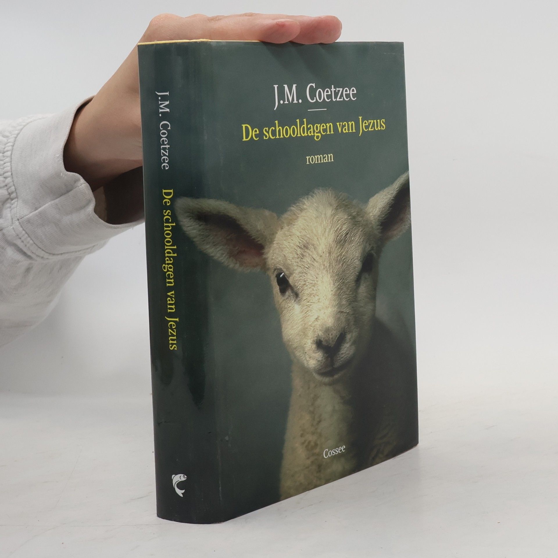Peter Bergsma De schooldagen van Jezus