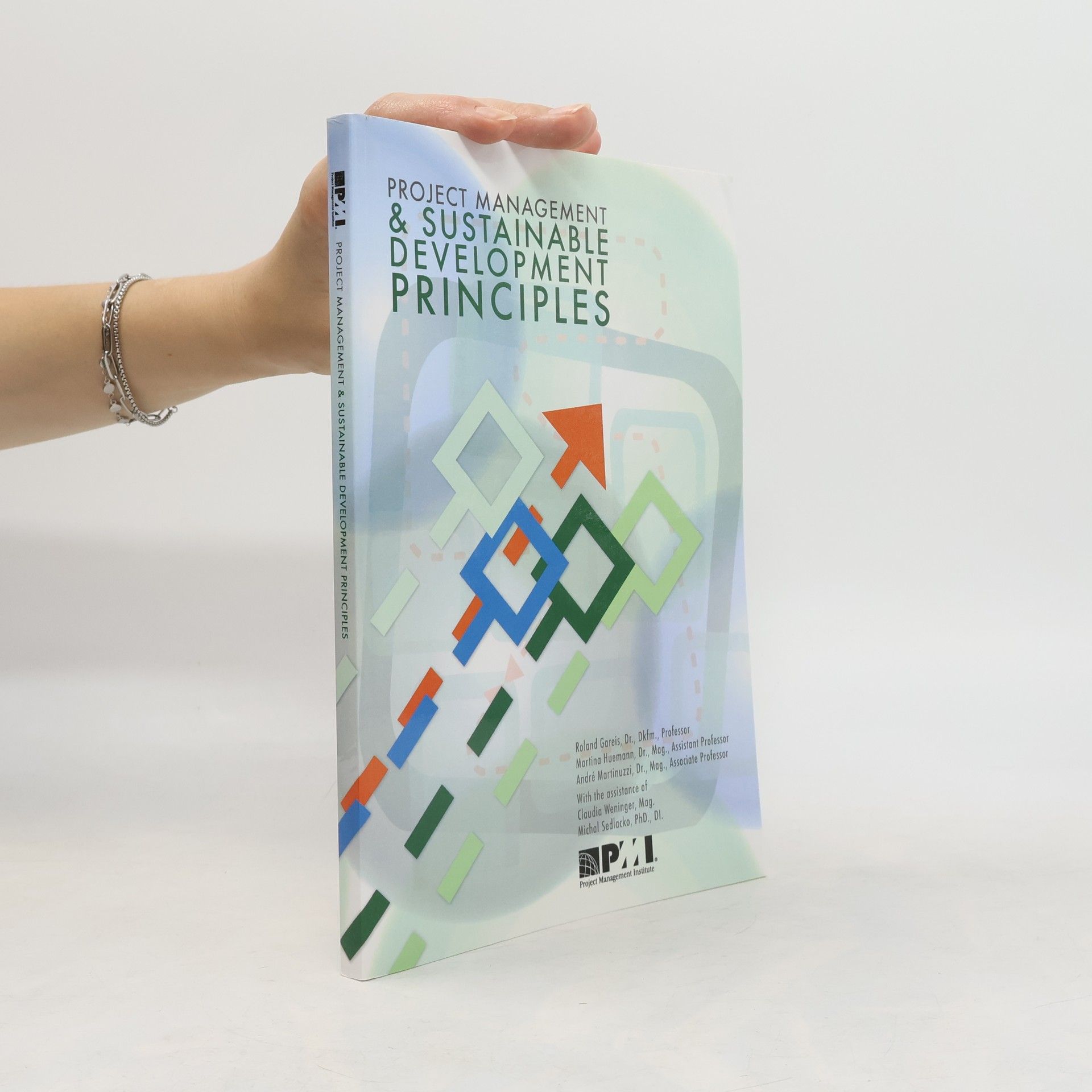 Project Management and Sustainable Development Principles