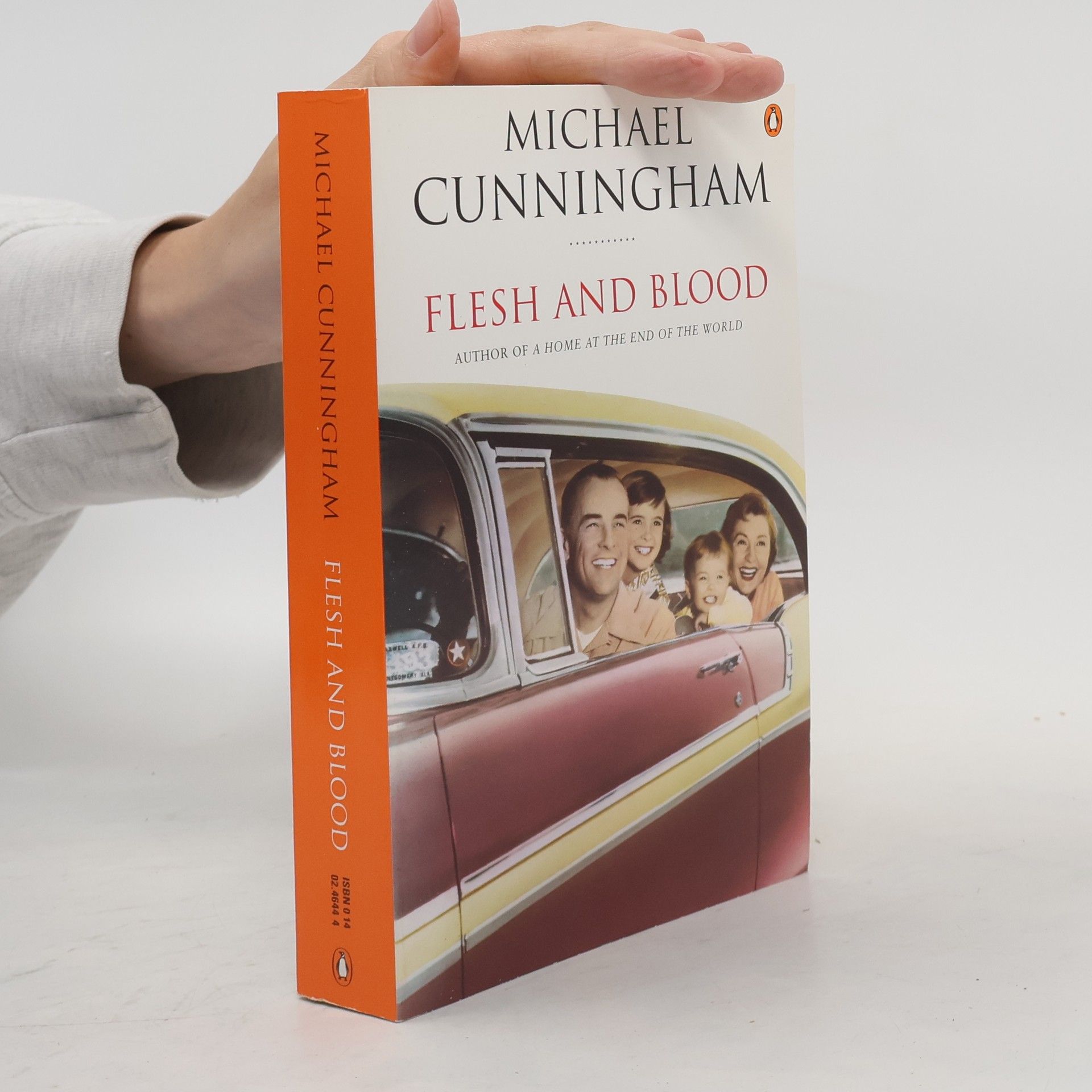 Michael Cunningham Flesh and Blood