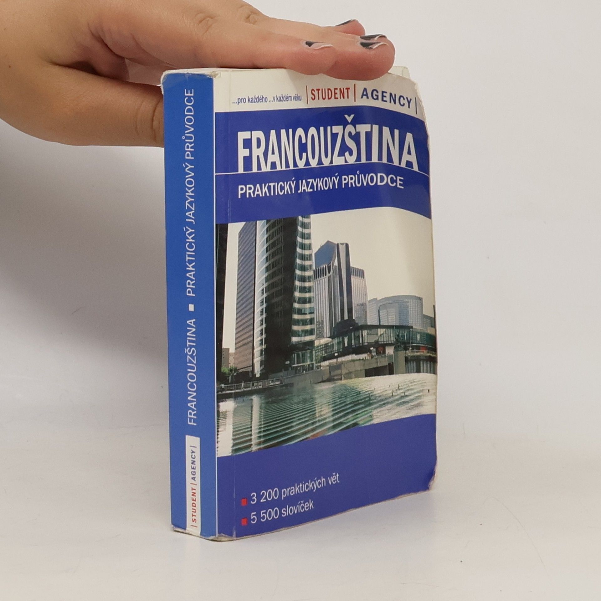 Tomáš Modlík Francouzština. Praktický jazykový průvodce