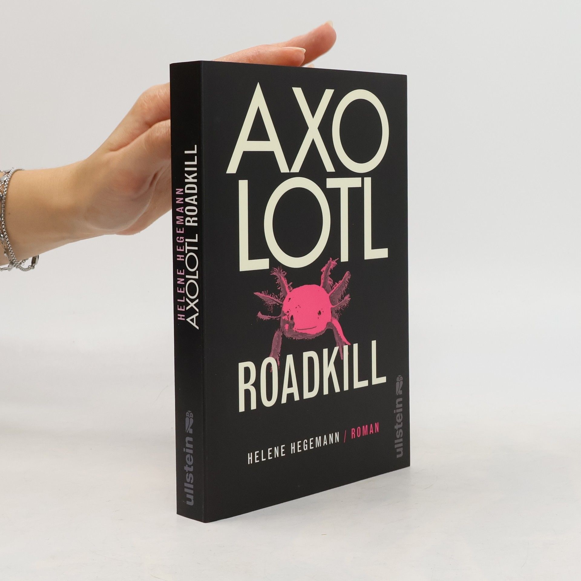 Helene Hegemann Axolotl Roadkill : Roman