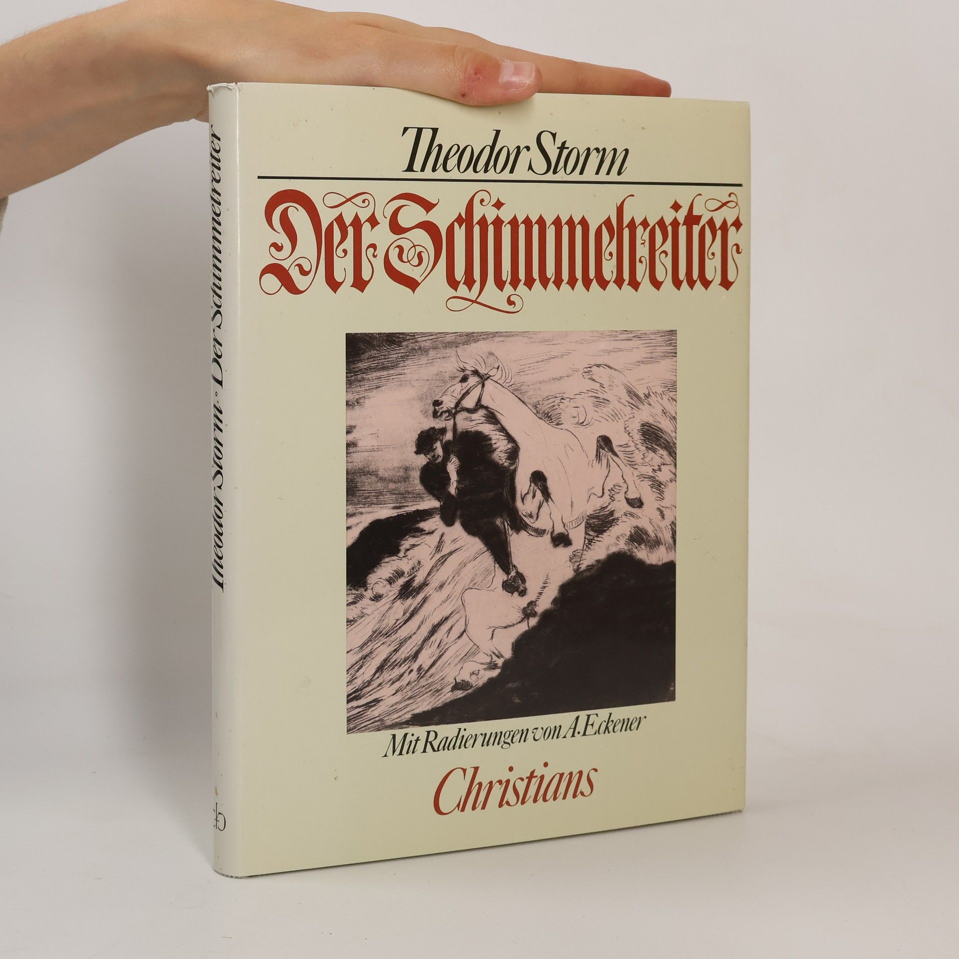 Der Schimmelreiter