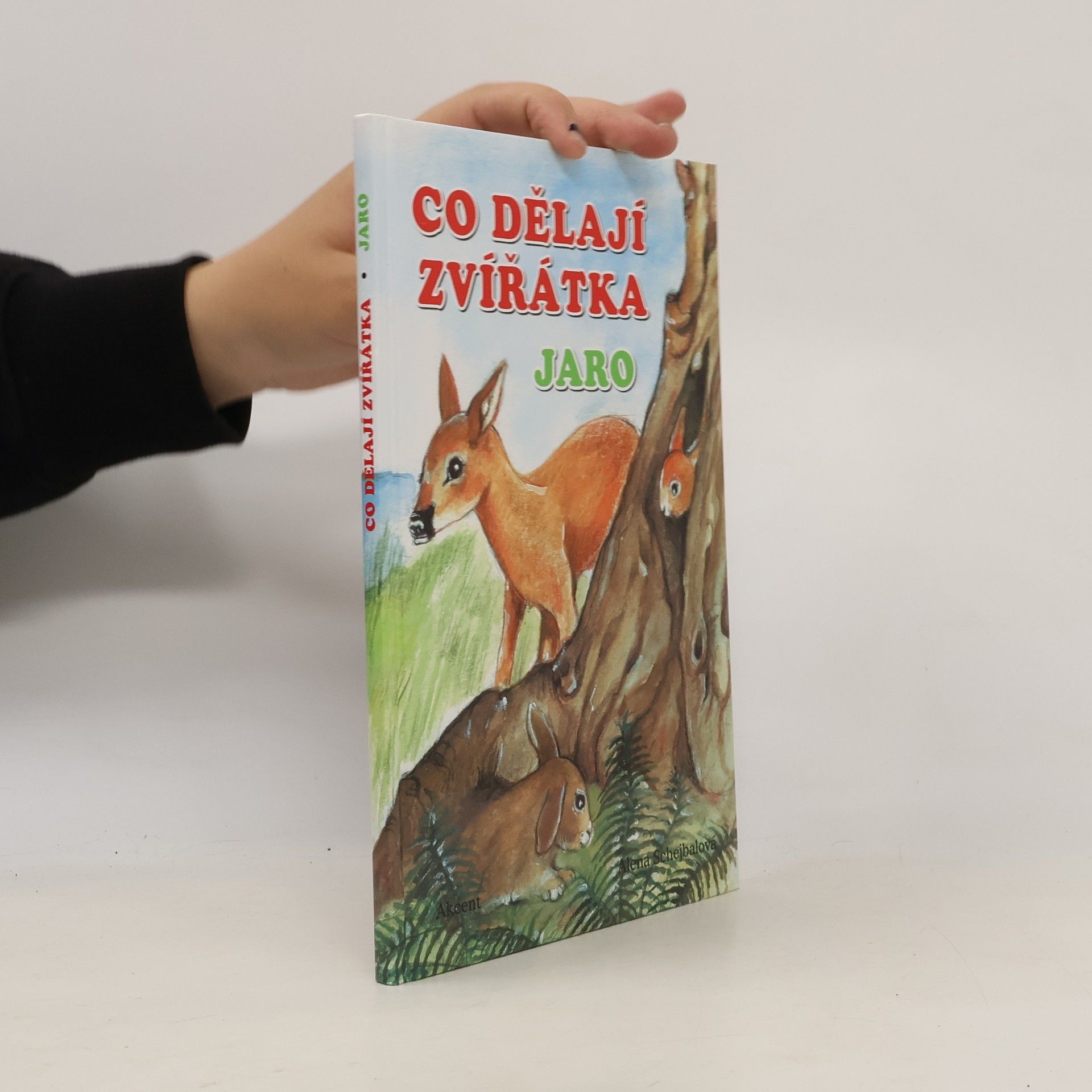Co dělají zvířátka. Jaro