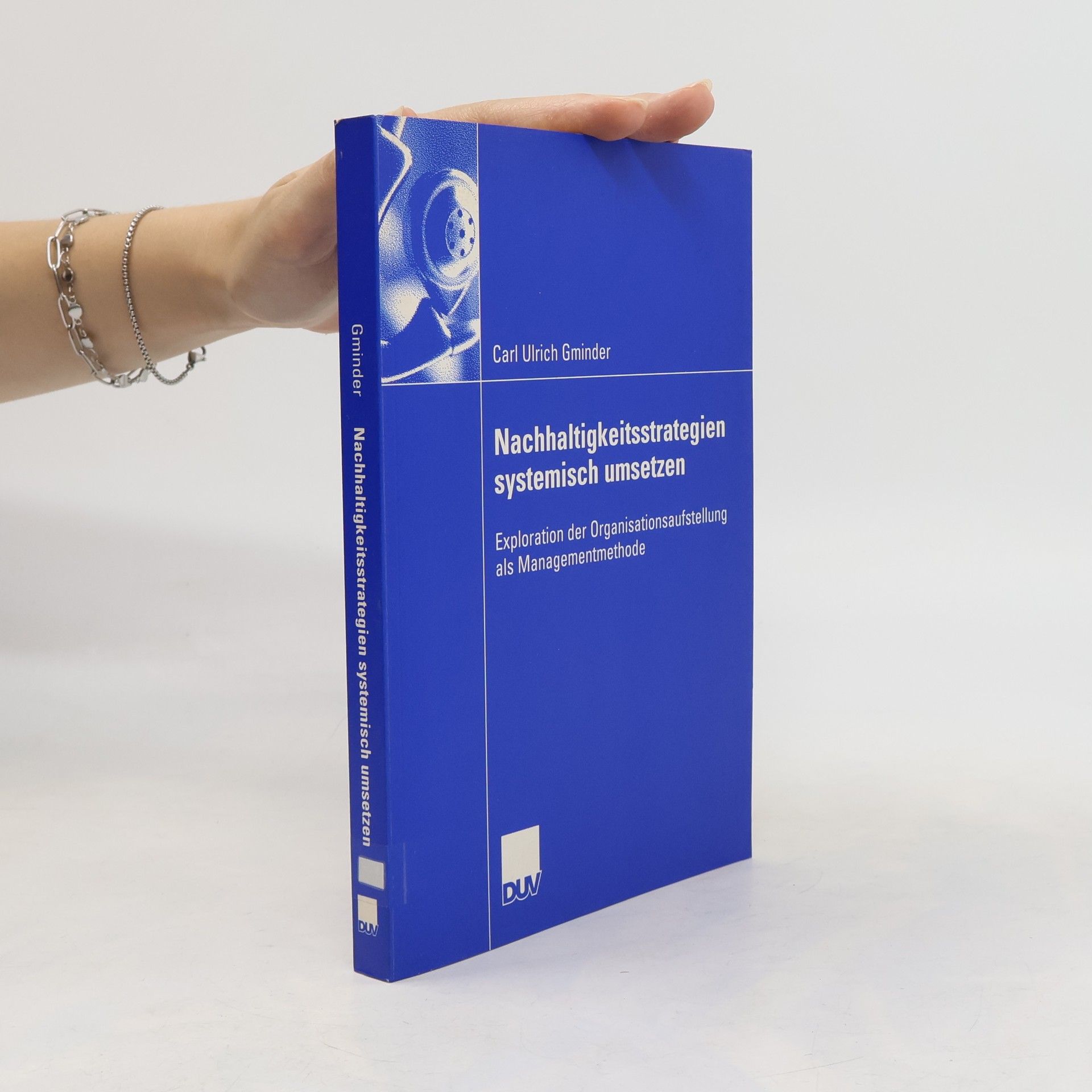 Carl Ulrich Gminder Nachhaltigkeitsstrategien systemisch umsetzen