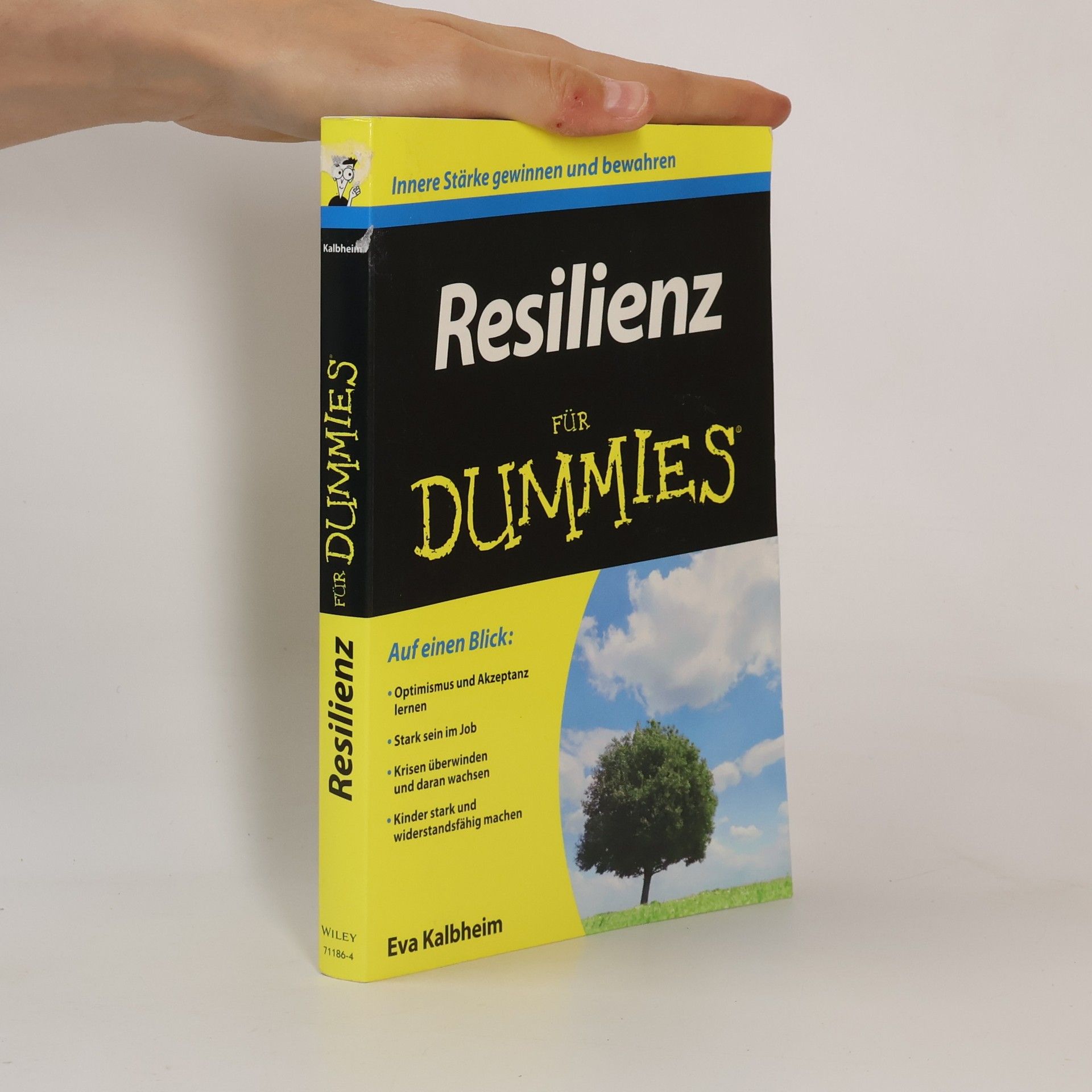 Eva Kalbheim Resilienz für Dummies
