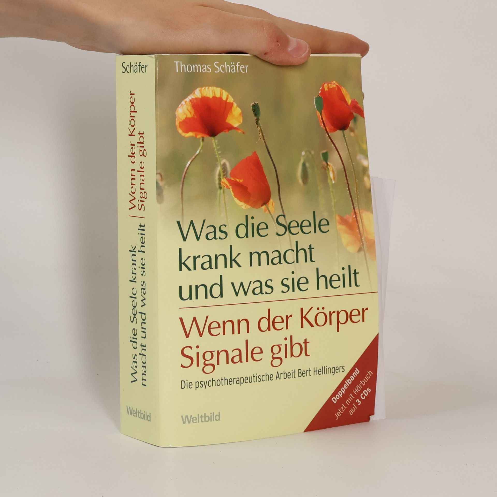 Thomas Schäfer Was die Seele krank macht und was sie heilt