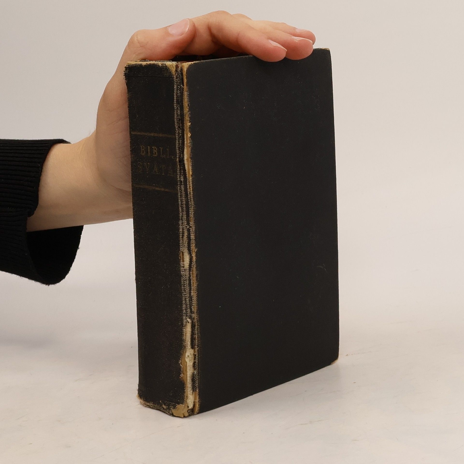 AA.VV. Biblí svatá aneb Všecka Svatá písma Starého i Nového zákona