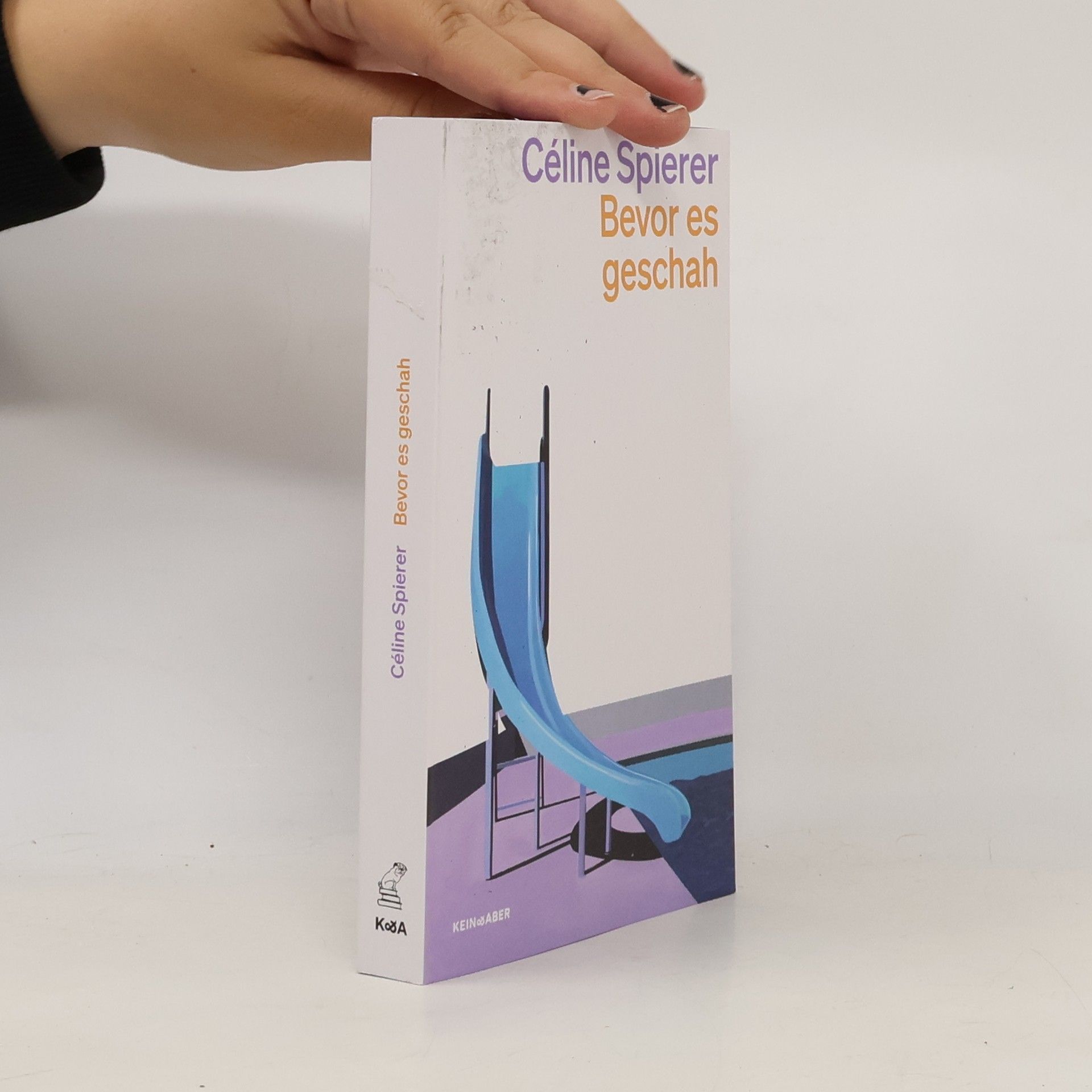 Céline Spierer Bevor es geschah
