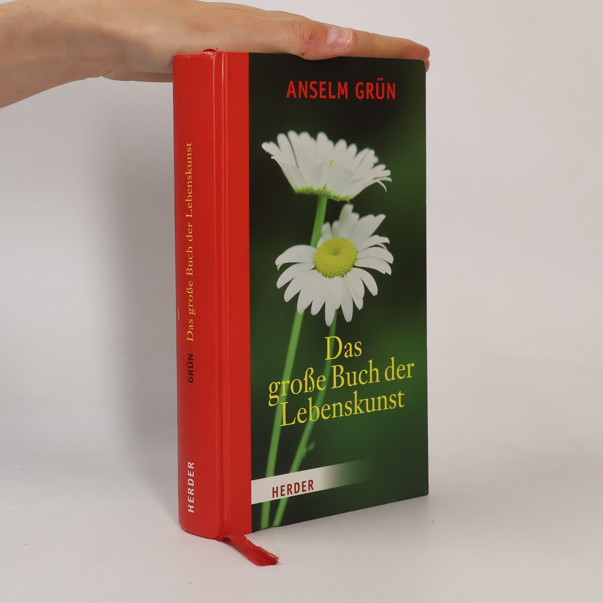 Anselm Grün Das große buch der lebenskunst