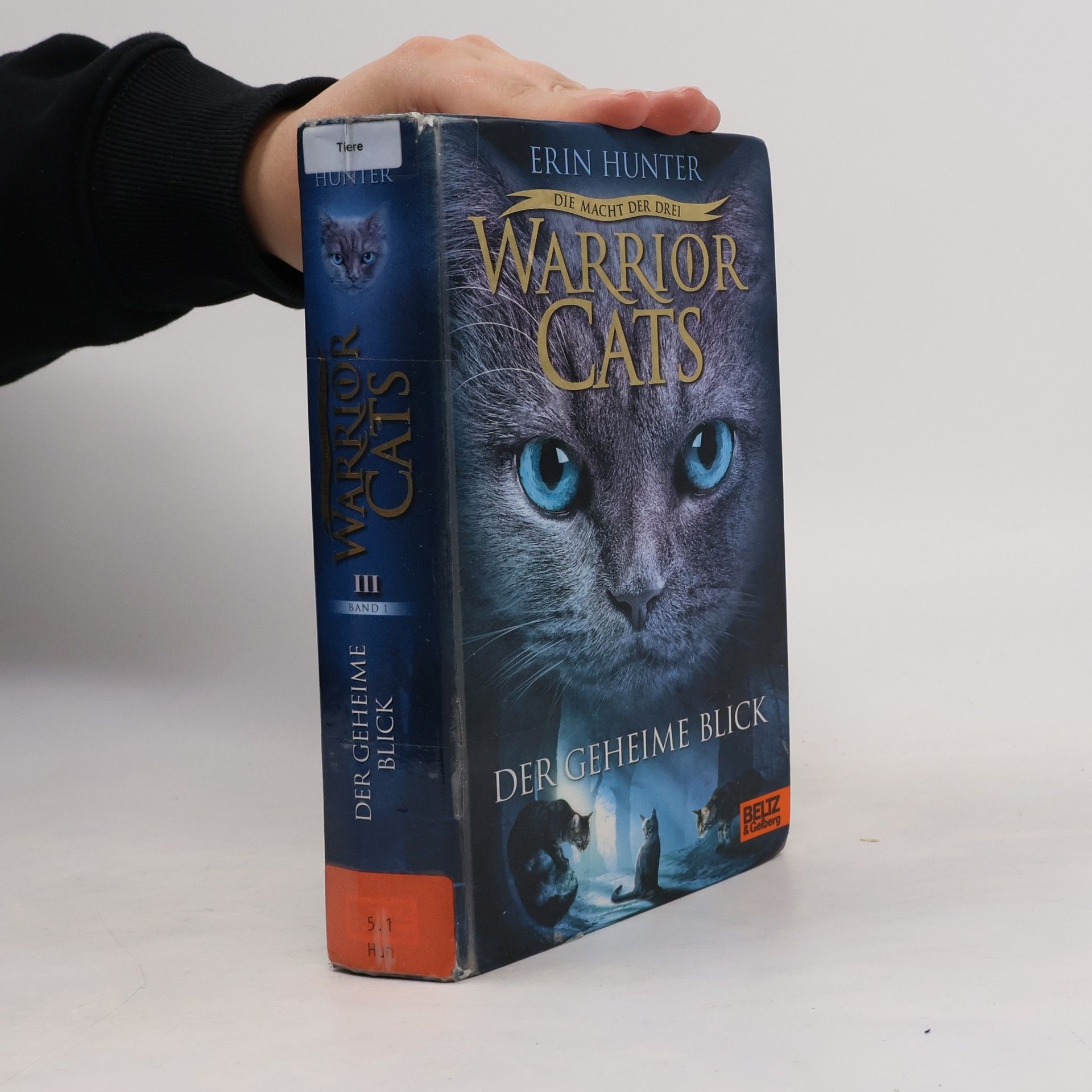 Erin Hunter Warrior Cats: Der geheime Blick
