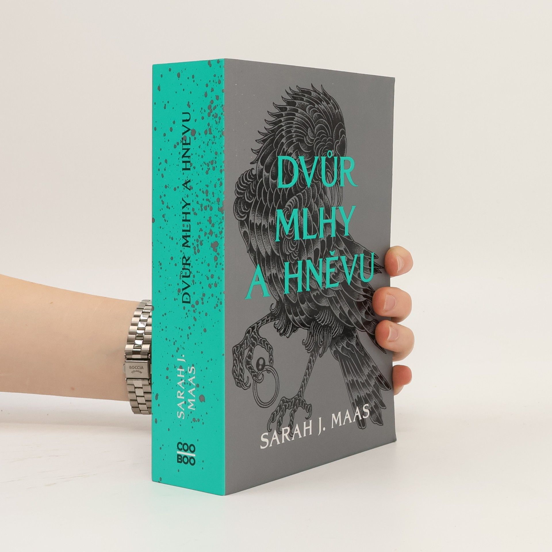Sarah J. Maas Dvůr mlhy a hněvu